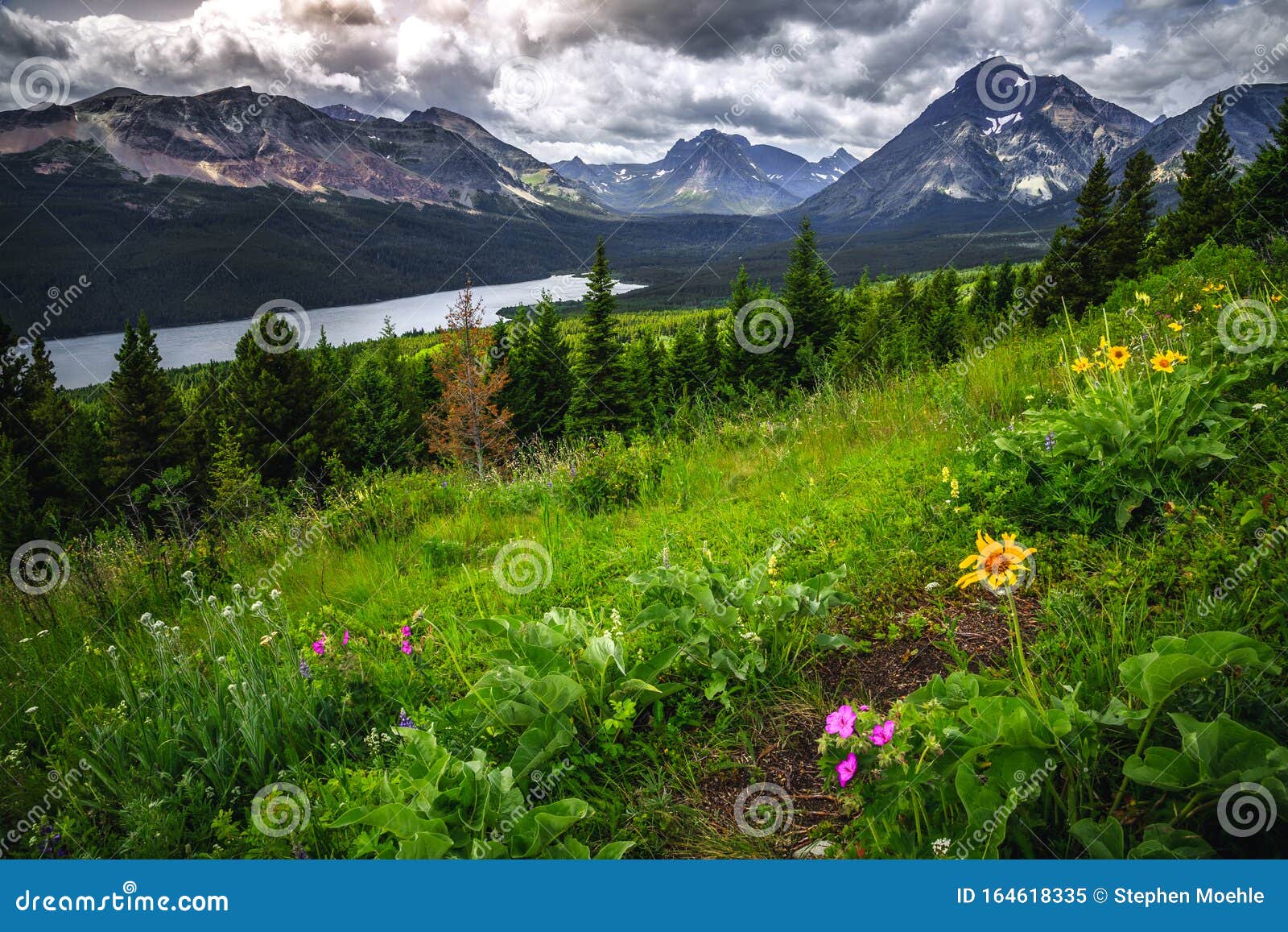 scenic views of two medicine lake, glacier national park