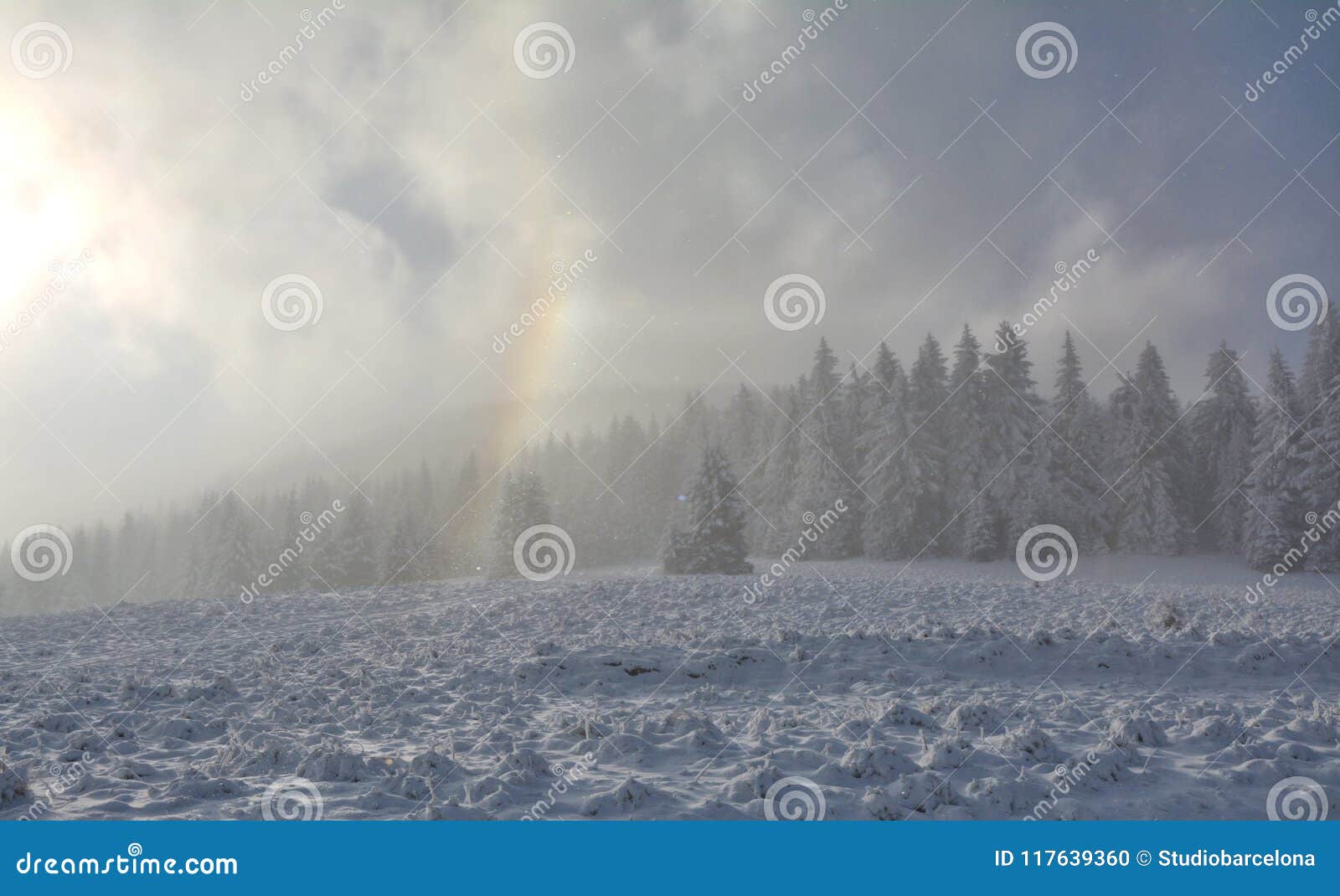 Scenic winter landscape stock photo. Image of trees - 117639360