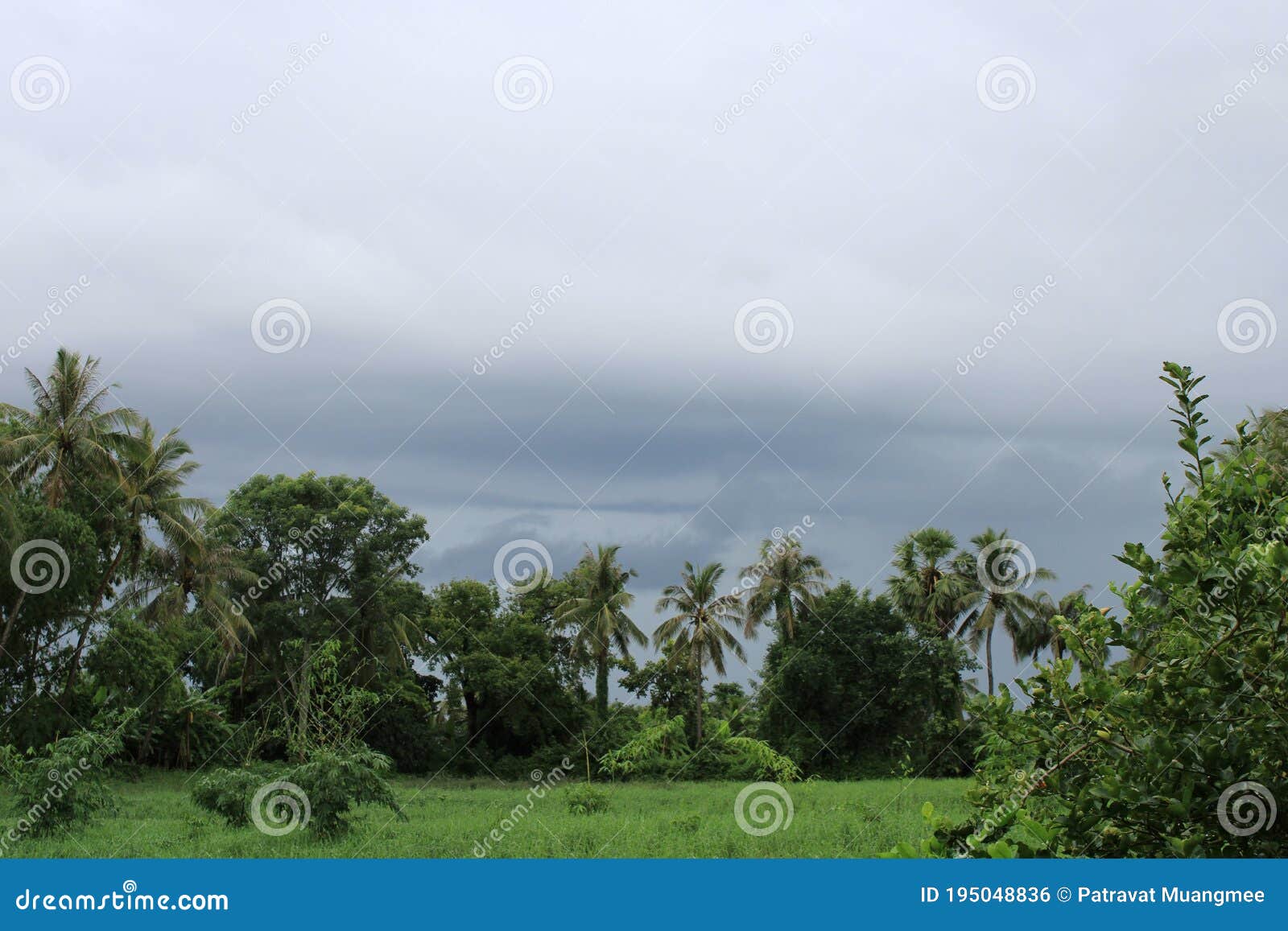 scenics of the rural in the cloudy day.