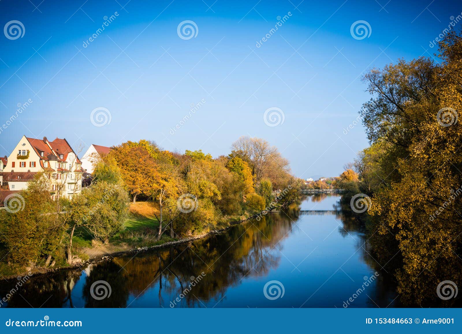 scenics view of trees near the river