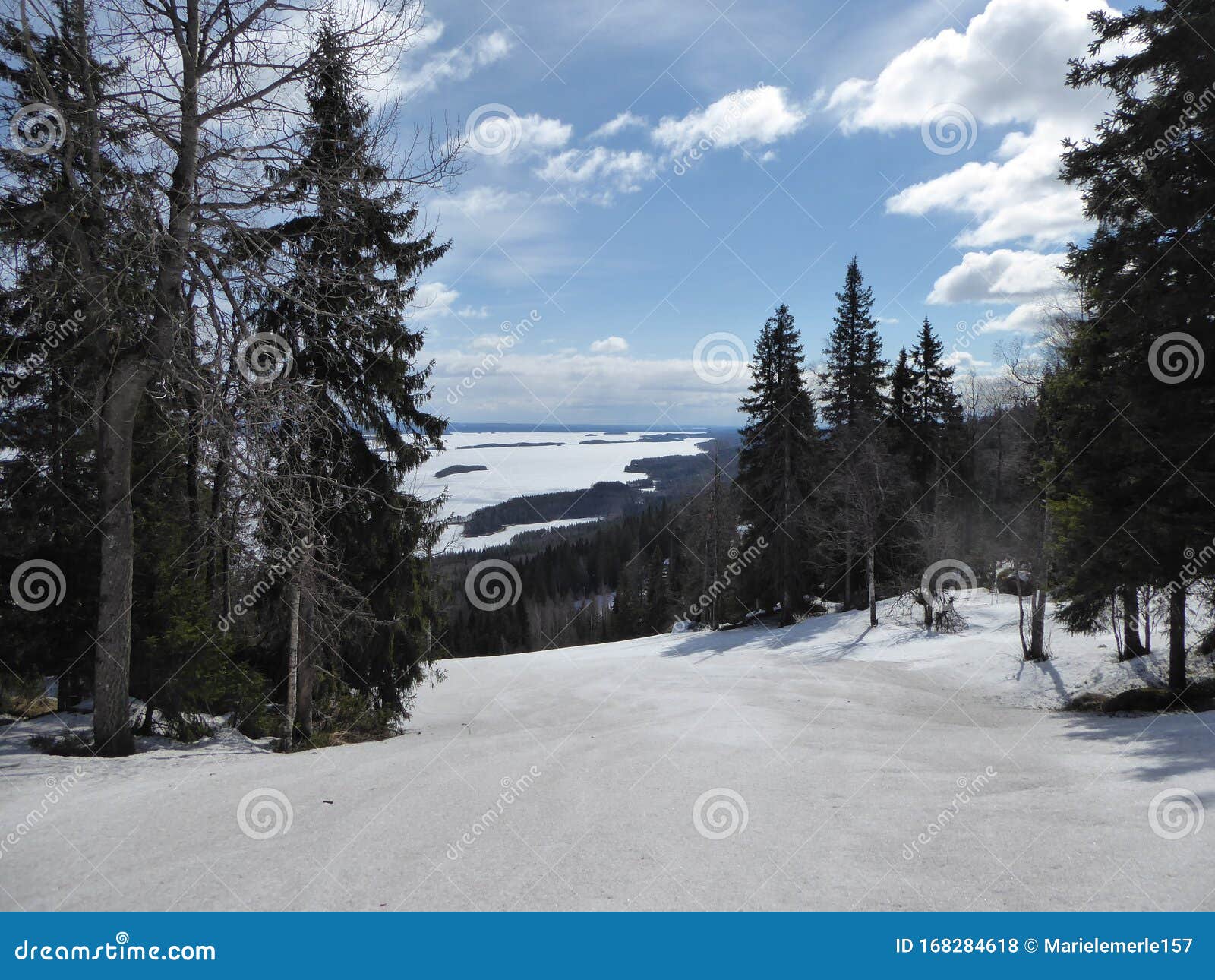 view of a frozen lake in koli national park in finland.