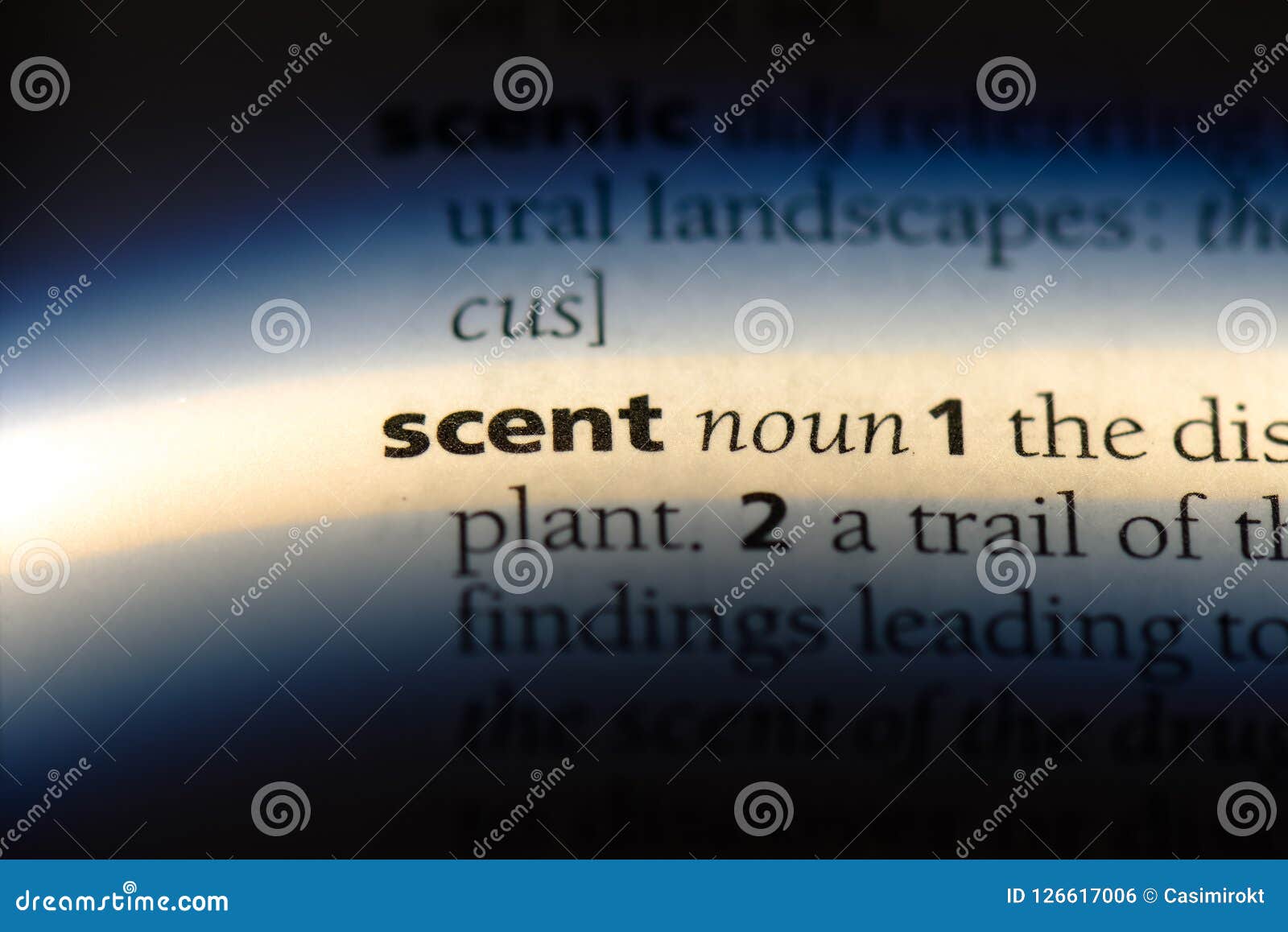 Scent stock photo. Image of isolated, text, closeup 126617006
