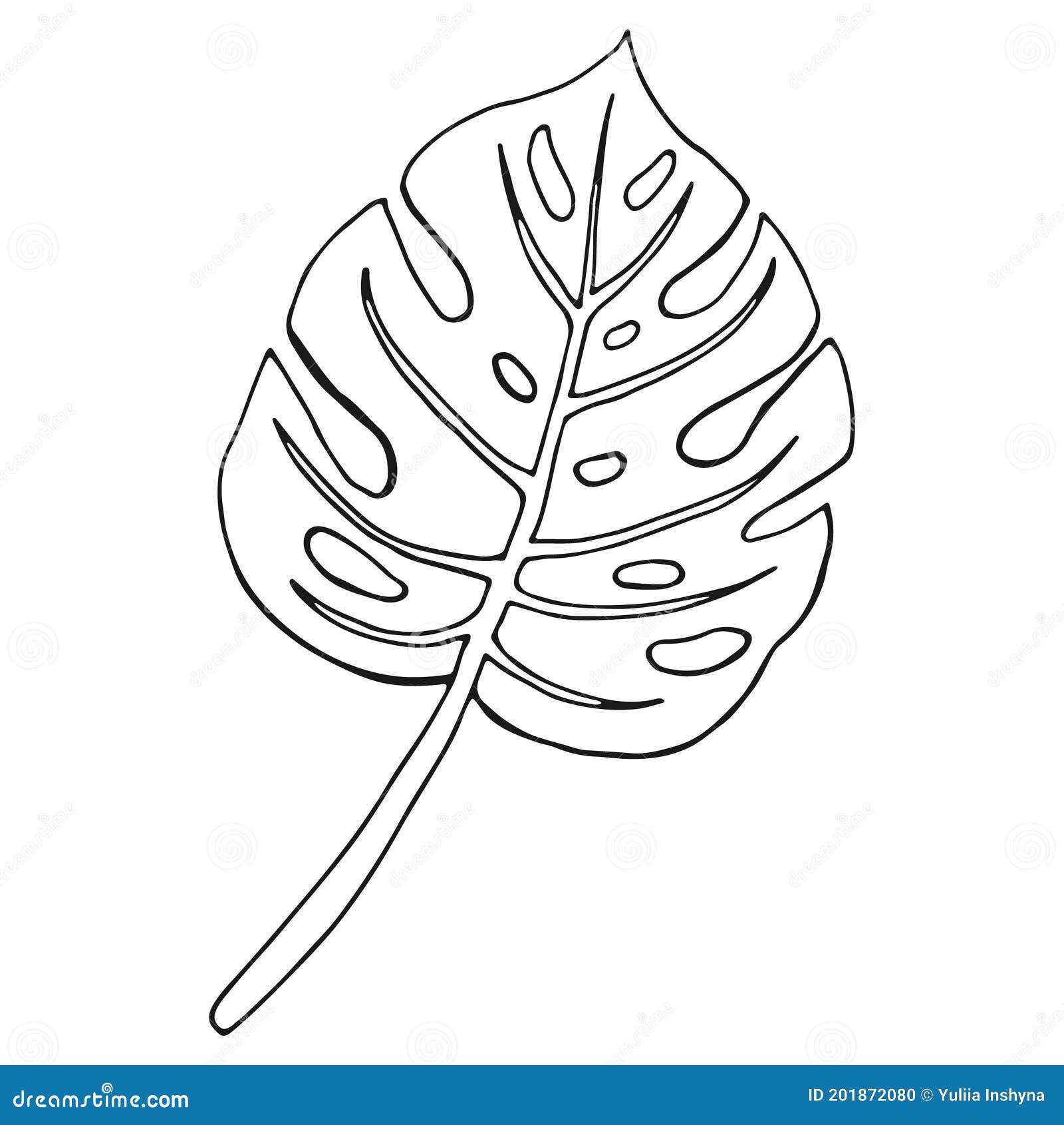 Schéma Feuille De Monstera. Dessin De Contour Illustration de Vecteur -  Illustration du hawaïen, isolement: 201872080