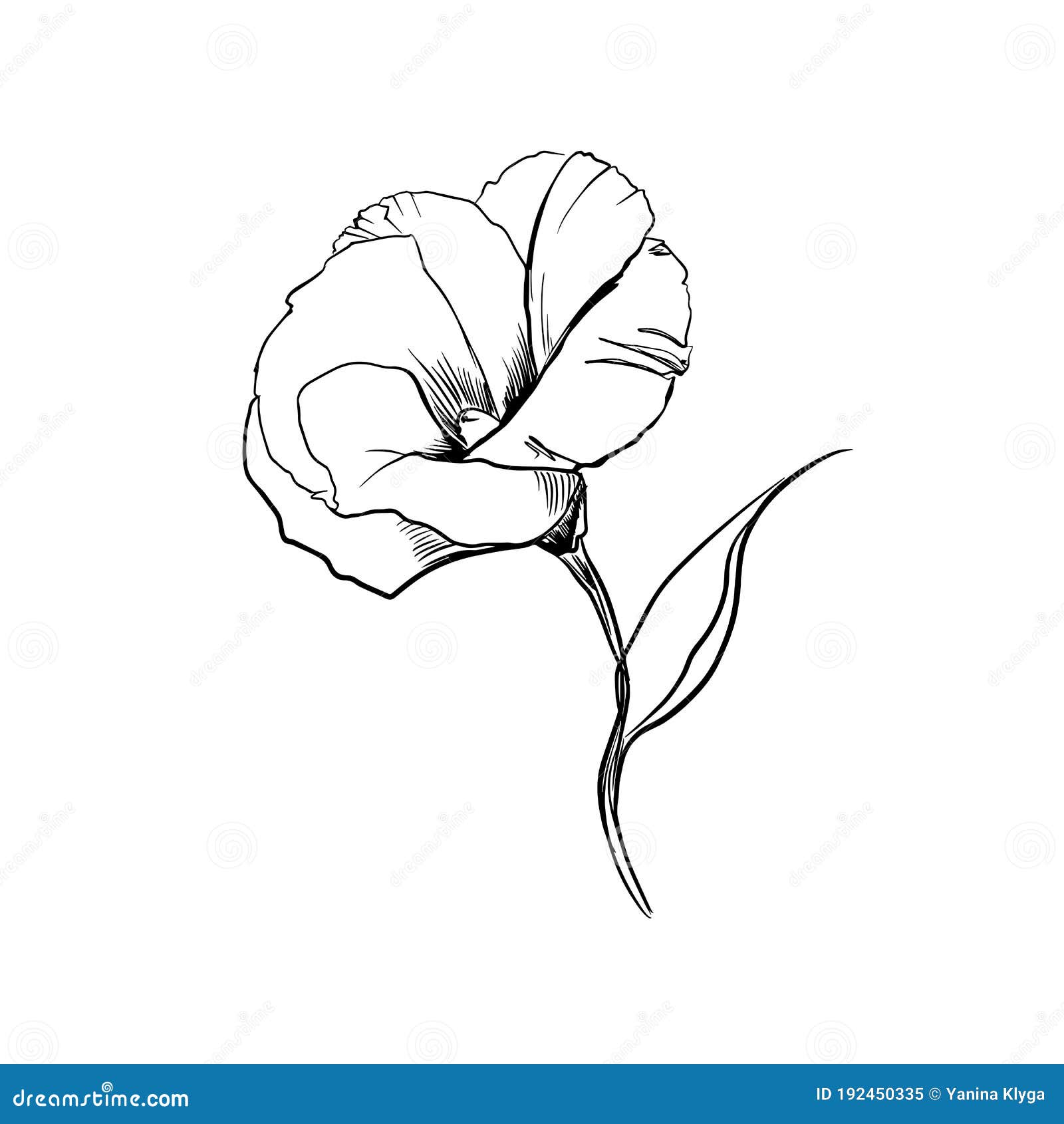 Schema Fleur Dessin De Contour Minimalistic Travail De Schema Illustration Tiree De Fleurs Han Illustration De Vecteur Illustration Du Mode Floral