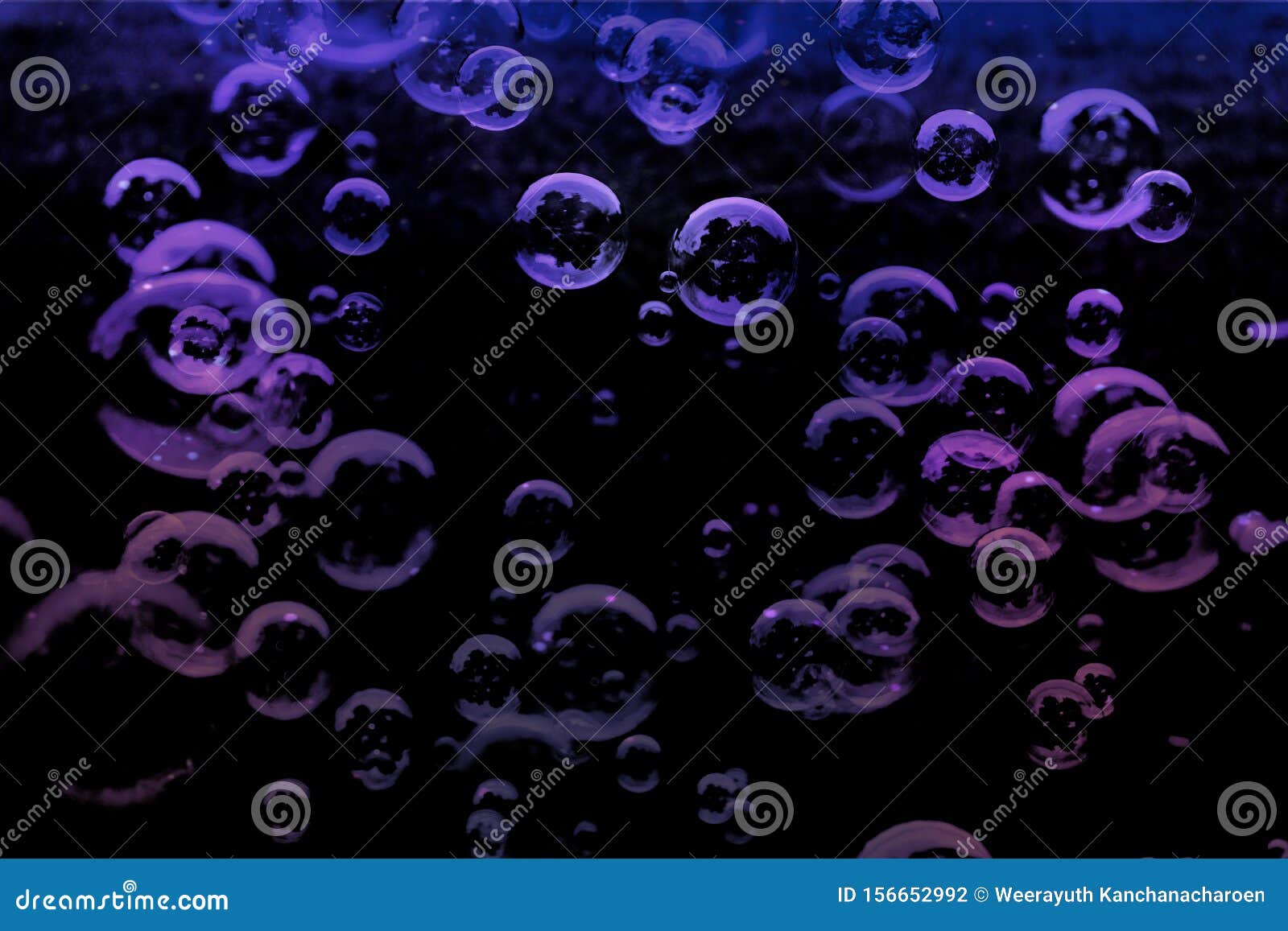 Scha Ne Abstrakte Textur Farbenfroh Weiaÿ Rosa Und Lila Blasen Auf Dem Schwarzen Dunklen Hintergrund Und Tapete Stockfoto Bild Von Kugel Schwarzung 156652992