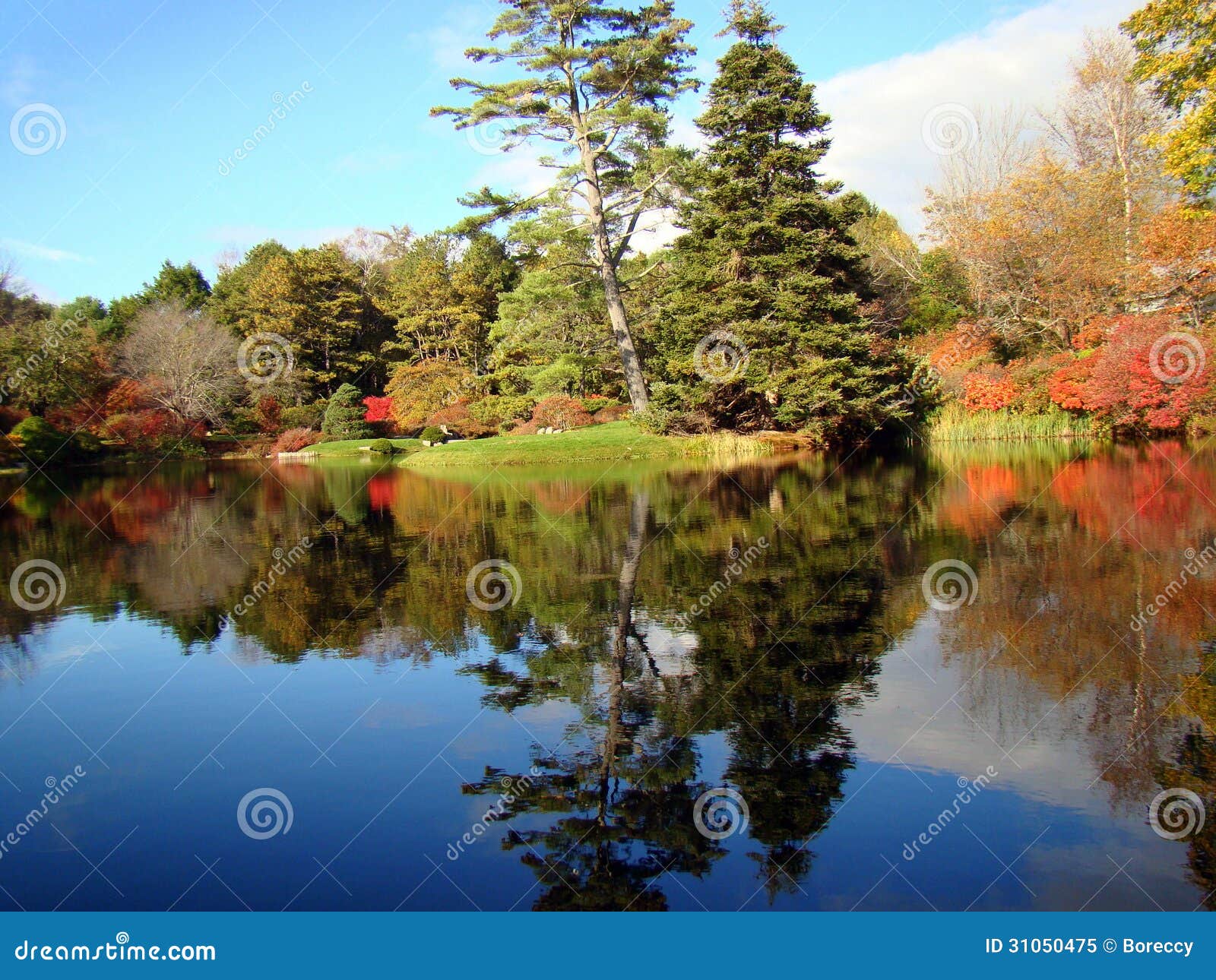 Schone Reflexion In Asticou Azalea Garden Maine Stockbild Bild