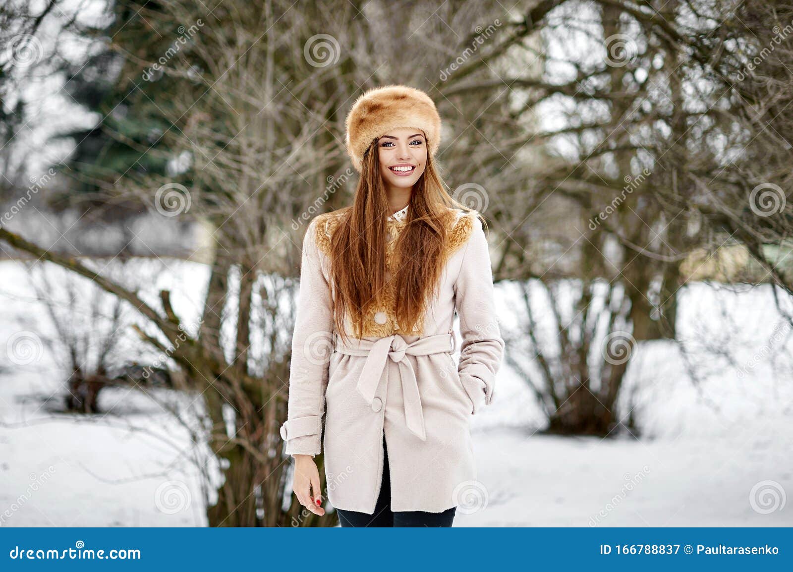 Schöne Schöne Russische Frau Im Winterpark Stockbild - Bild von kosmetik,  überraschen: 166788837