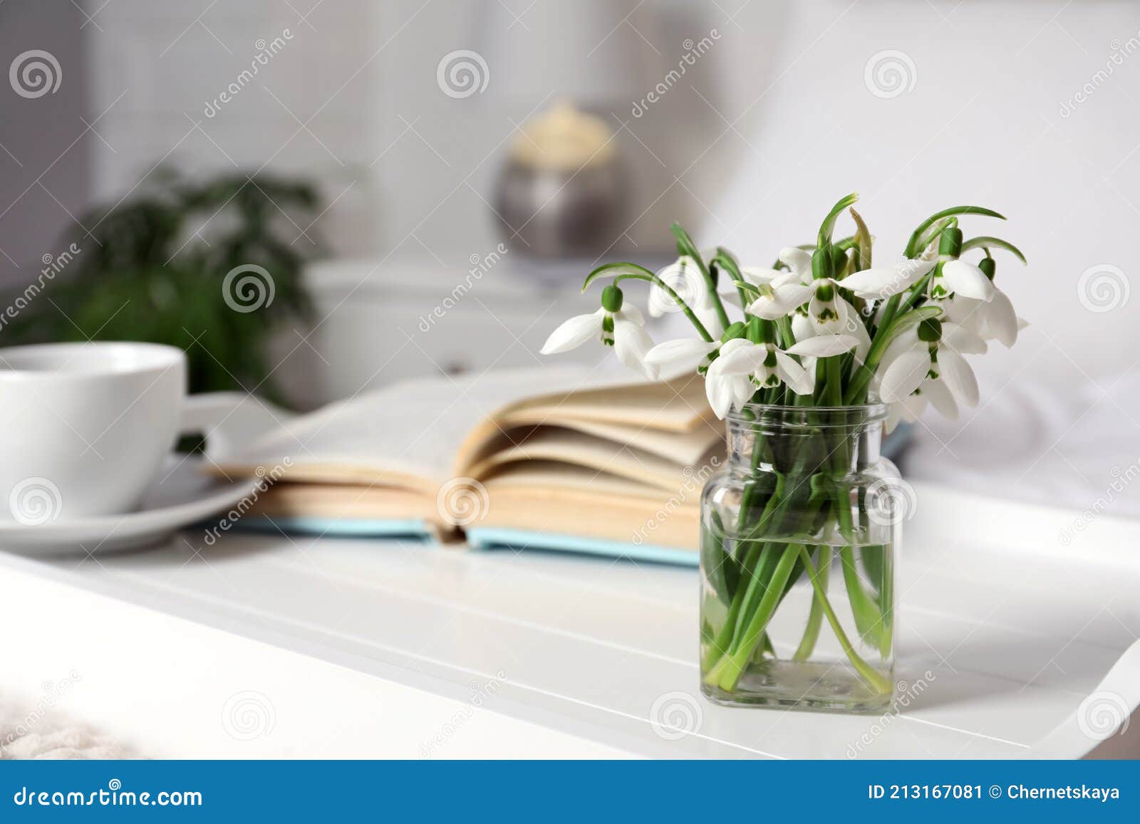 Schöne Schneeglöckchen Buchen Und Tasse Kaffee Für Behälter Im  Schlafzimmer. Raum Für Text Stockbild - Bild von bett, gelesen: 213167081