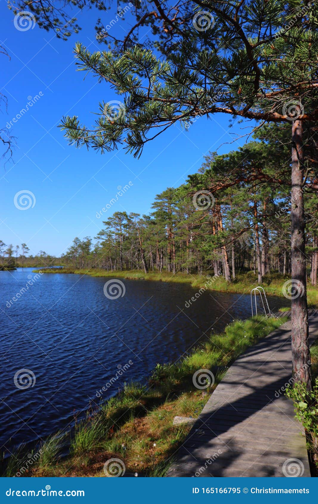 Schoner Blauer See In Tolkuse Raba Eesti Estland Bog In Parnumaa Kiefern Und Strasse Stockbild Bild Von Baume Ruhe 165166795