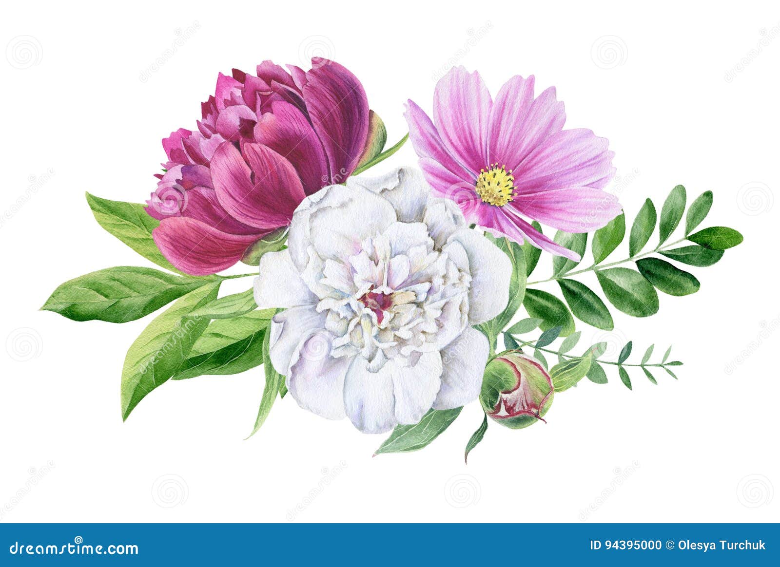 Schones Aquarell Blumen Clipart Lokalisiert Stock Abbildung Illustration Von Schones Blumen