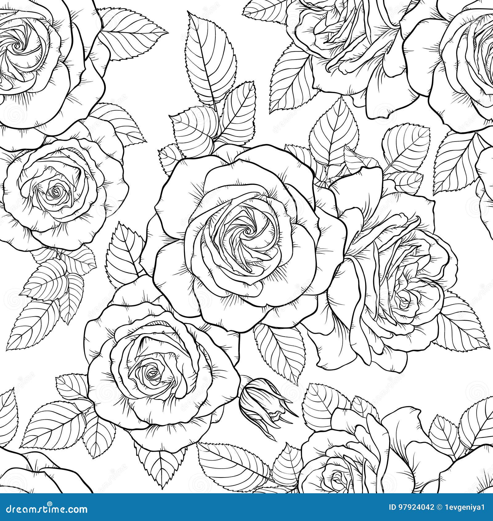 Schones Einfarbiges Nahtloses Schwarzweiss Muster Mit Rosen Blatter Hand Gezeichnete Tiefenlinien Vektor Abbildung Illustration Von Gezeichnete Rosen