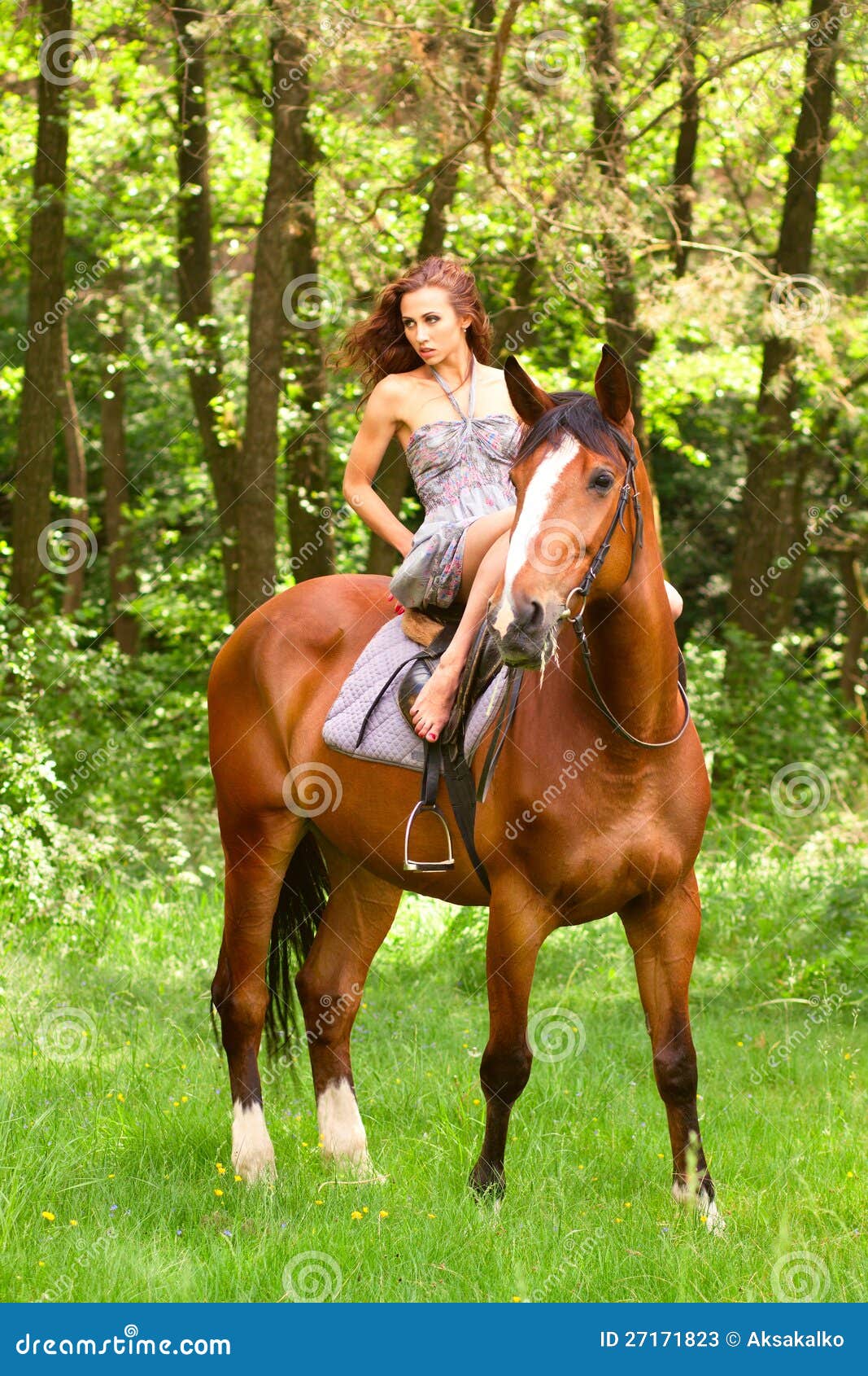 schönes junges mädchen auf pferd stockbild  bild von