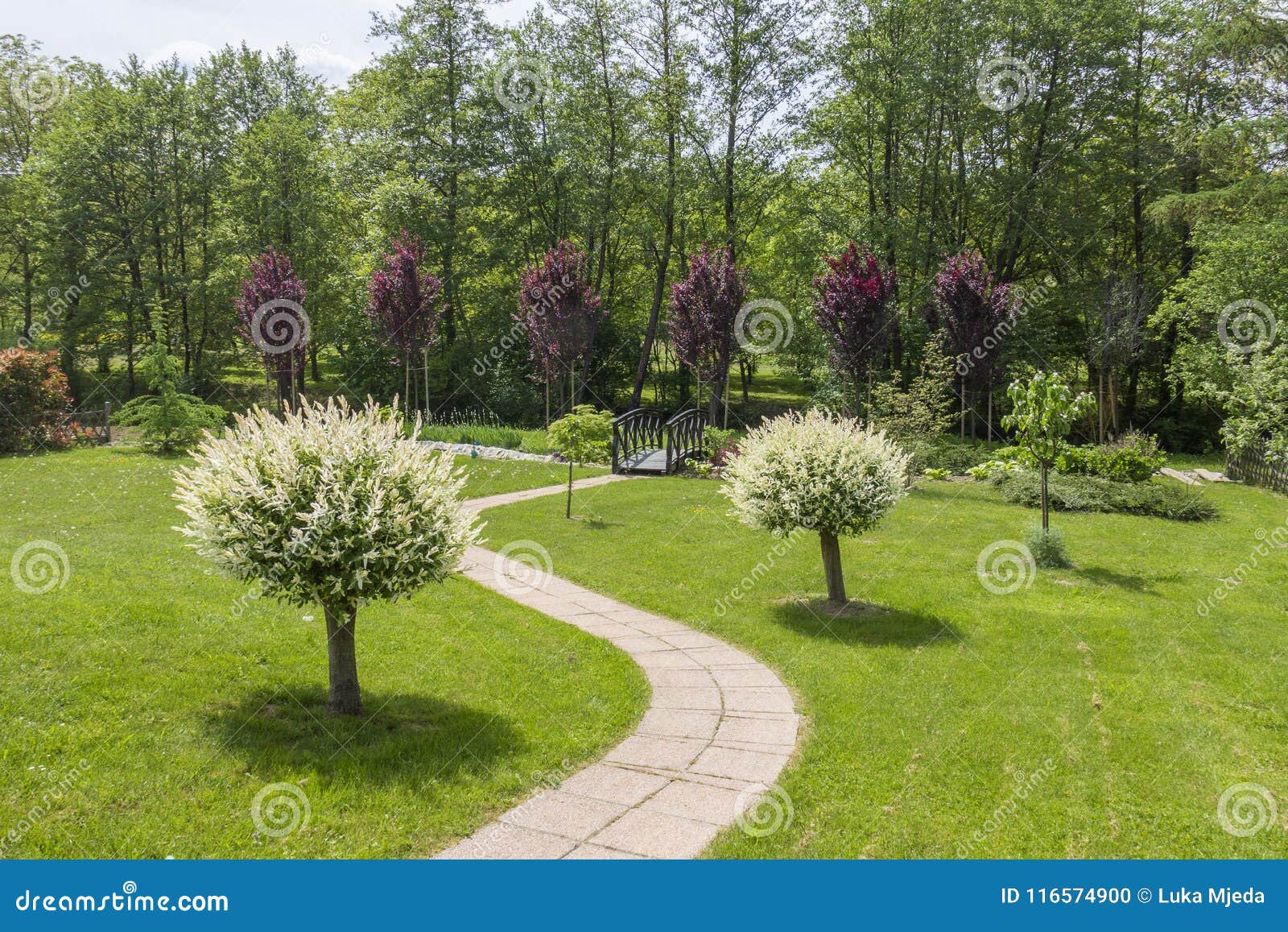 Schöner Grüner Garten Mit Einem Weg, Der Zwischen Zwei