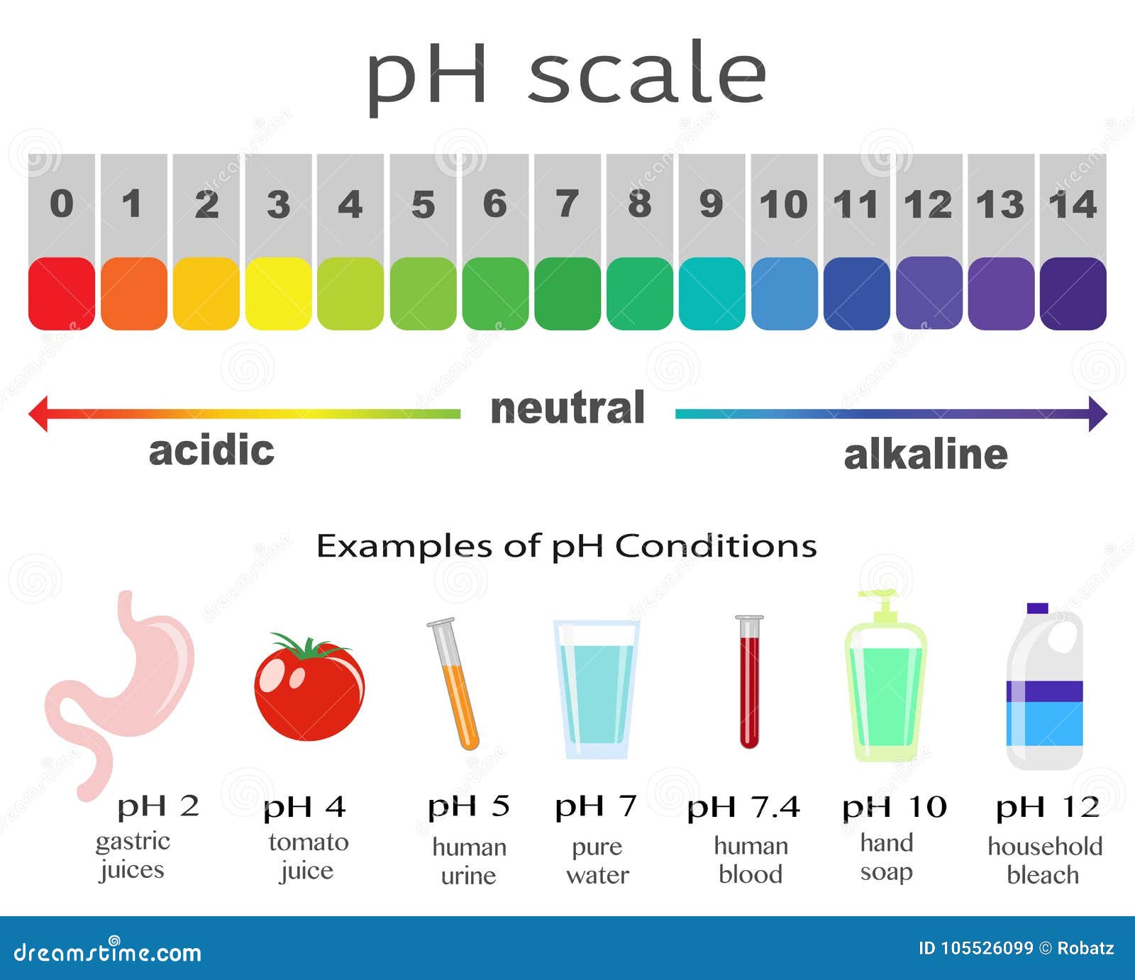 Schaal Van Ph Waarde Voor Zure En Alkalische Oplossingen Vector schaal-van-ph-waarde-voor-zure-en-alkalische-oplossingen-vector