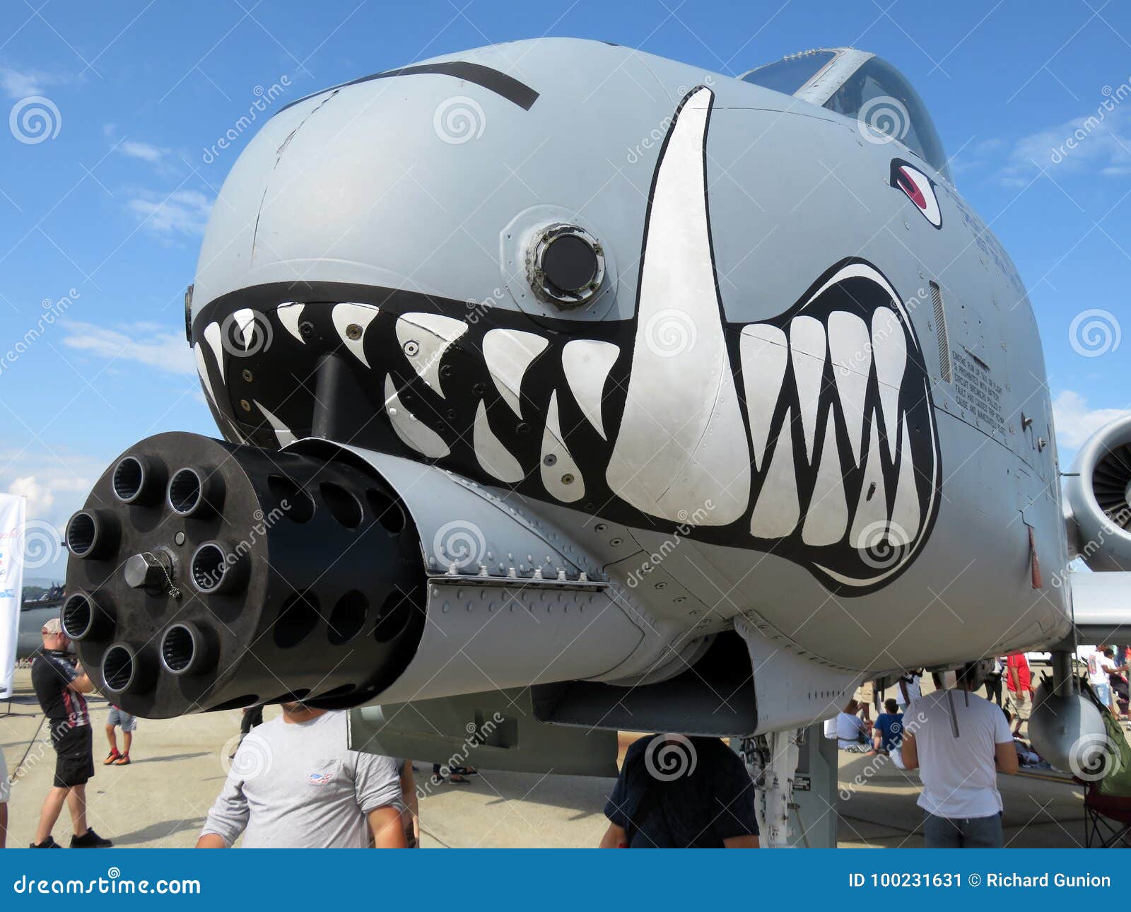 Scharfe Schwein Zahne Redaktionelles Foto Bild Von Boden 100231631