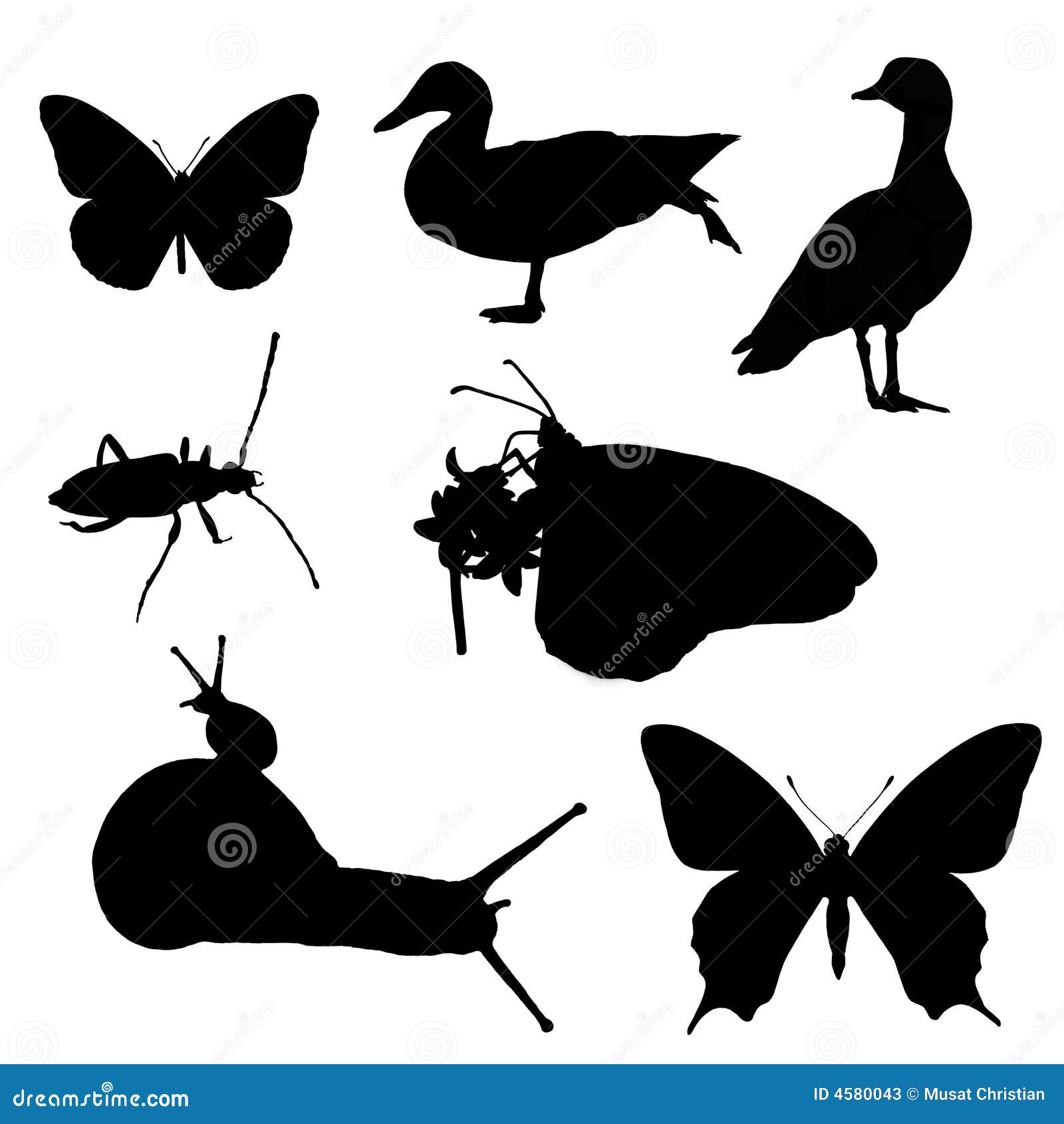 Schattenbild der Tiere stock abbildung. Illustration von motiv - 4580043