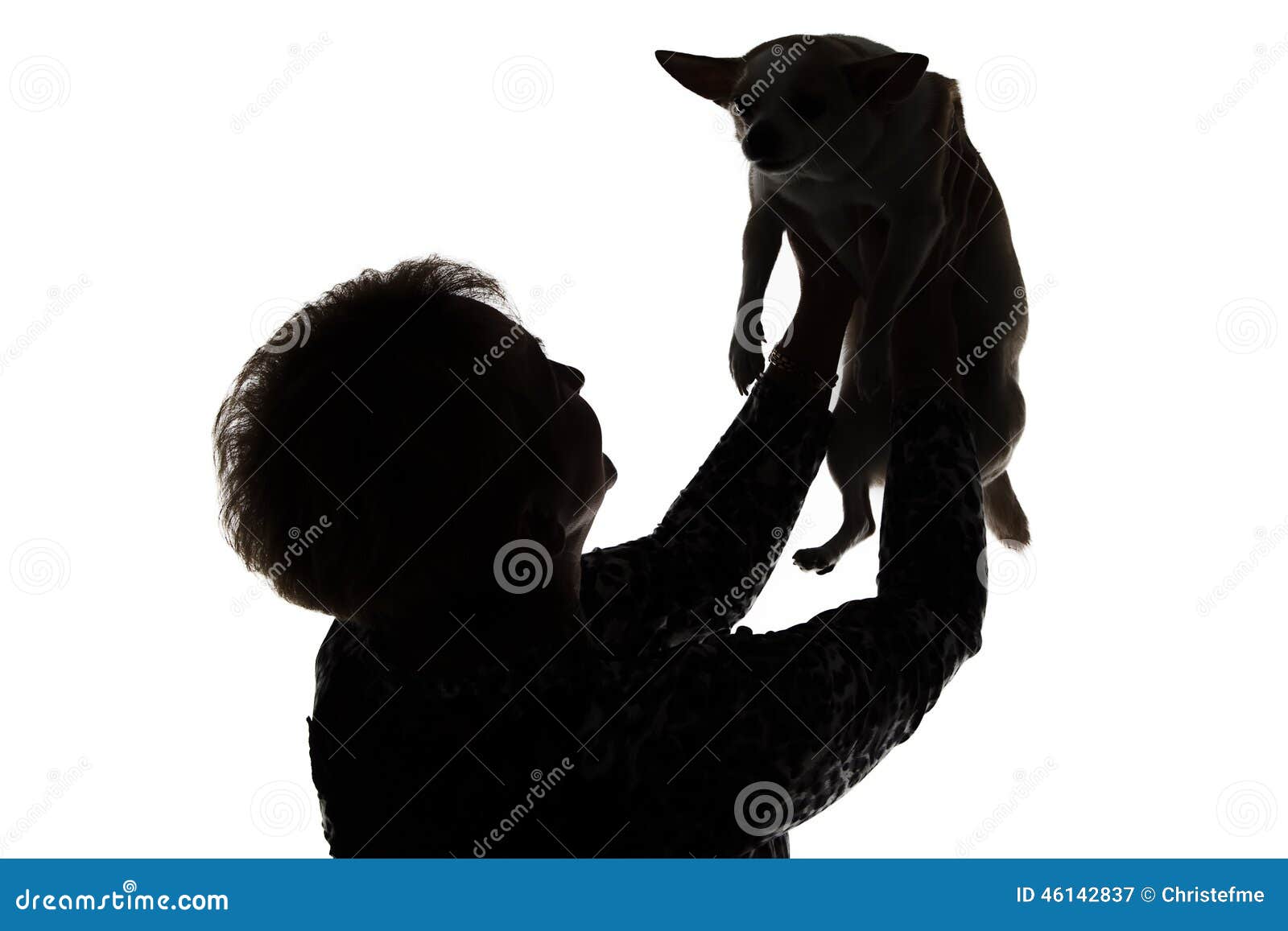 Schattenbild Einer Frau Mit Dem Hund Stockbild Bild von rettung