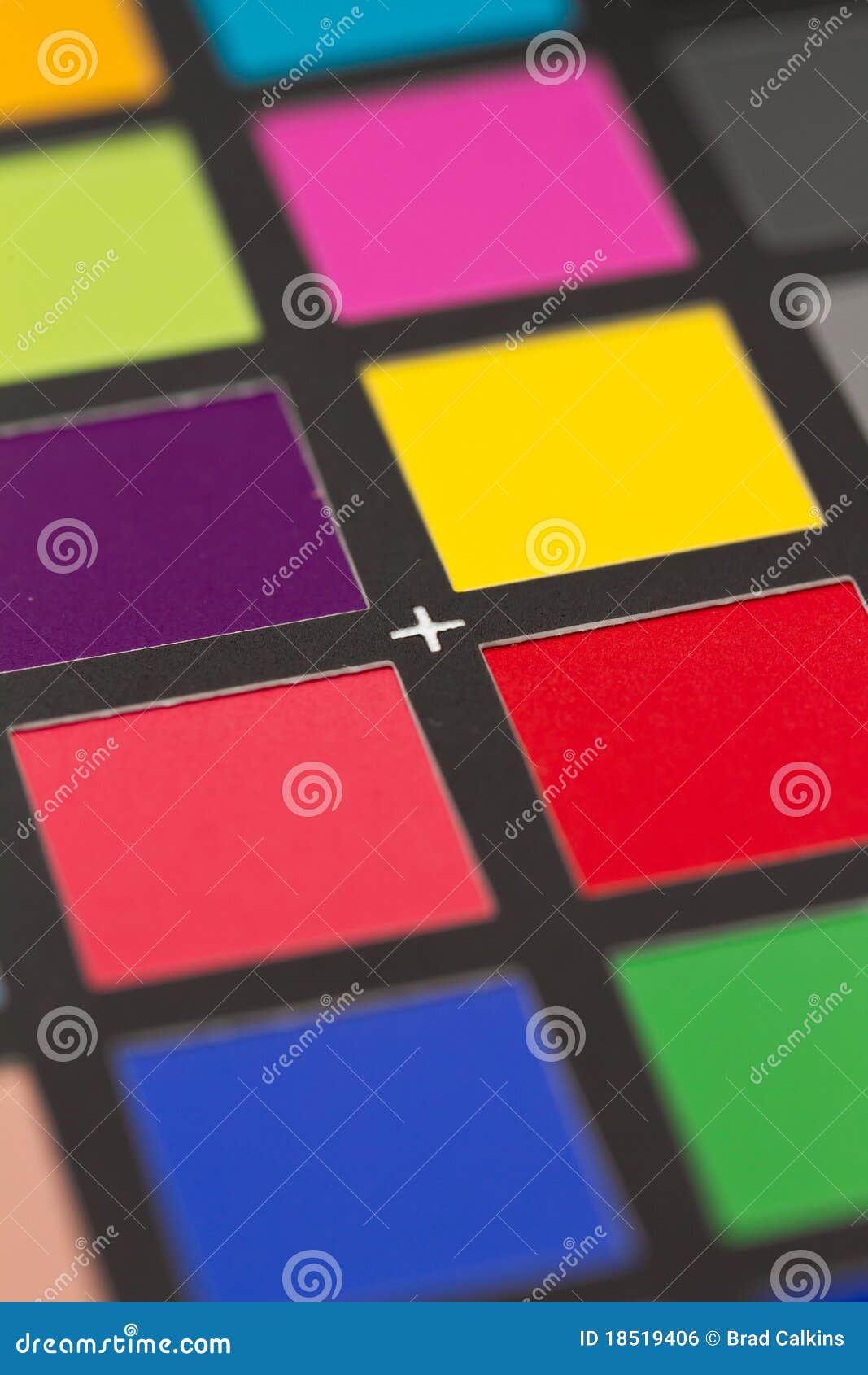 Scheda Grigia 18% Per Bilanciamento Bianco E Messa A Fuoco - Portatile Con Custodia - Foto 10