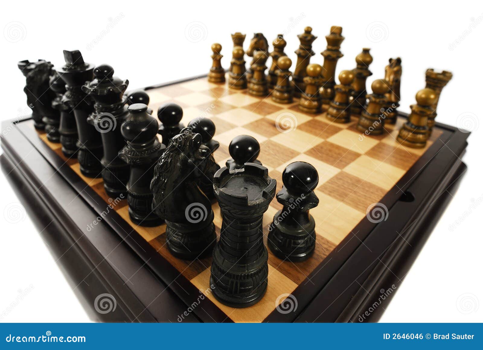 Scheda Di Scacchi Immagine Stock. Immagine Di Parte, Perda - 5315335 - Foto 11