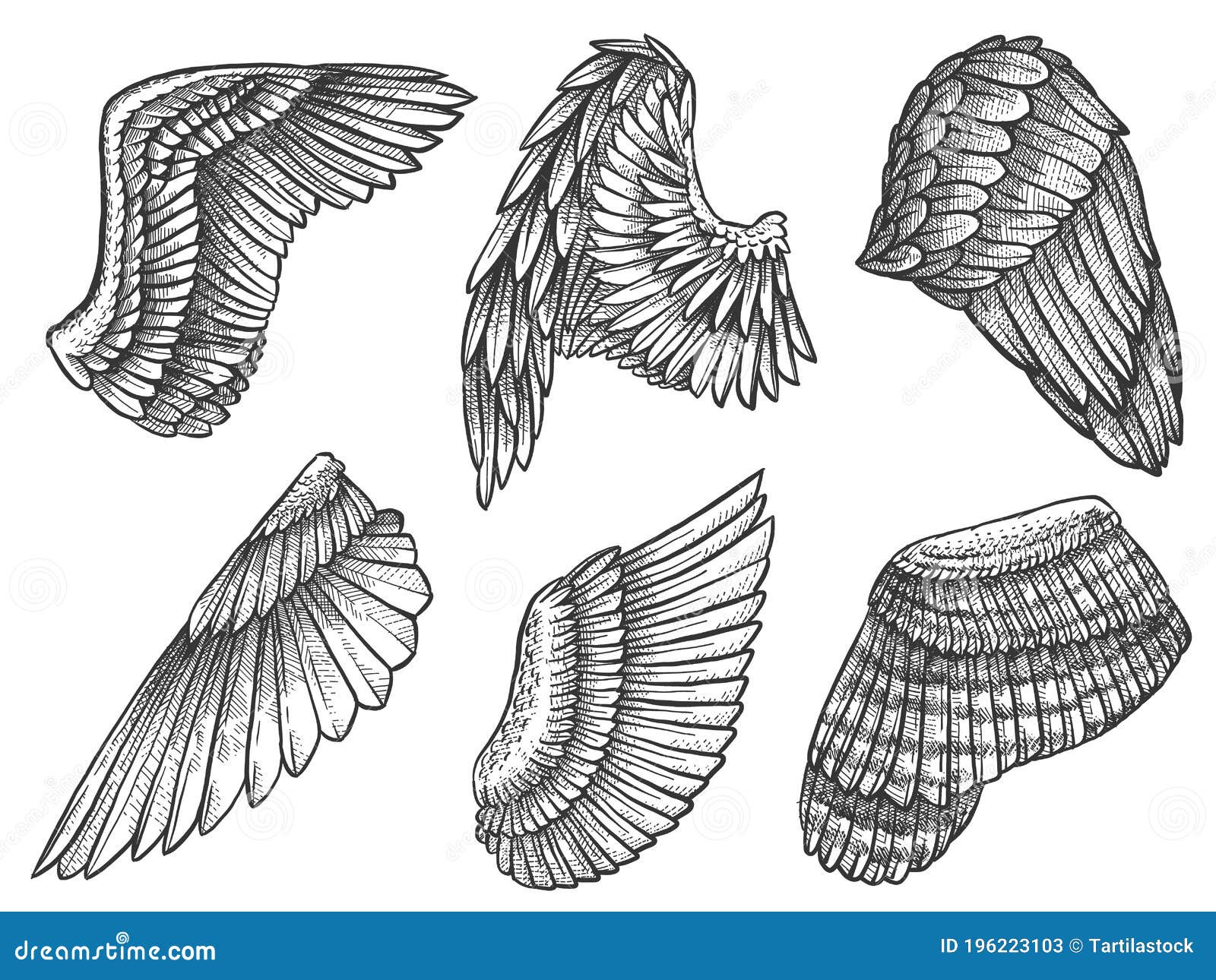 Schetsvleugels. Met De Hand Getrokken Adelaar Engel, Gedetailleerd, Met Veren Heraldische Elementen Voor Tatoeage of Mascotte Gegr Vector Illustratie - Illustration of veer, heraldisch: 196223103