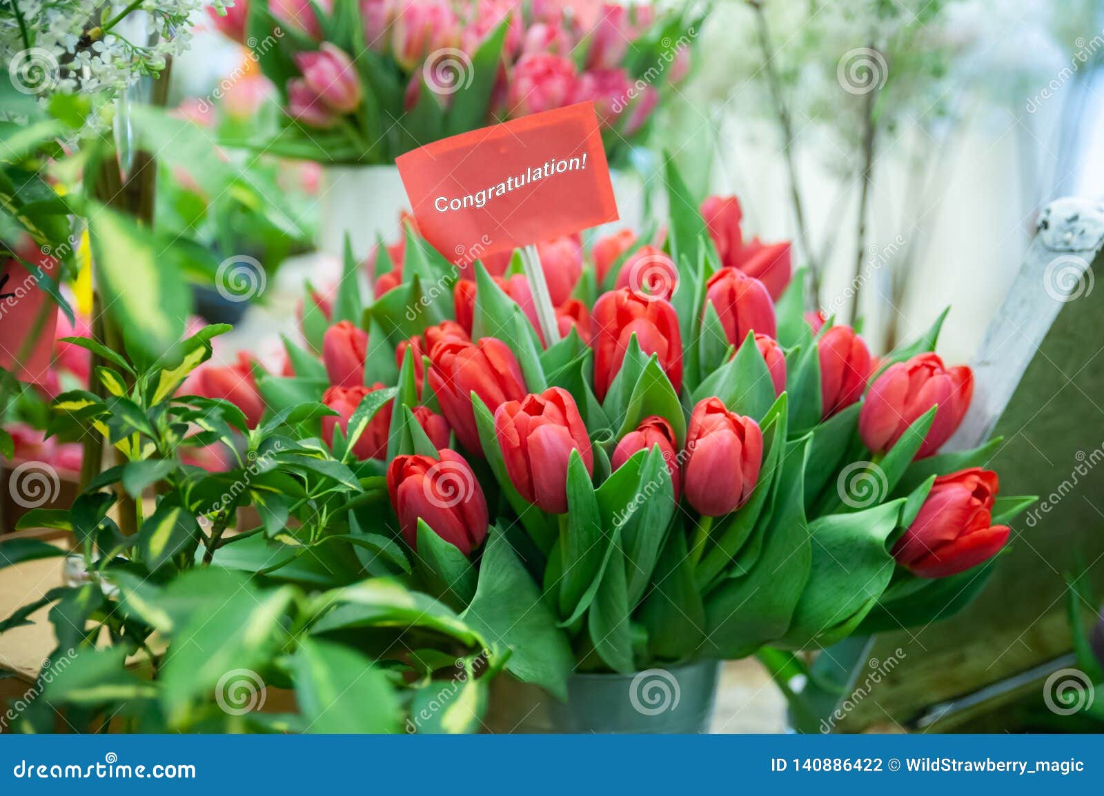 Schicker Blumenstrauß von roten Tulpen mit den Aufschriftglückwünschen Grußkarte, hallo Frühlings- und Frauentageskonzepte