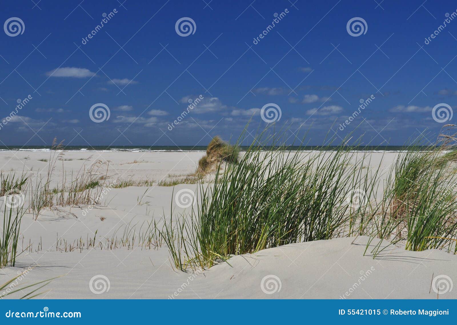 schiermonnikoog island, white sand beach. holland