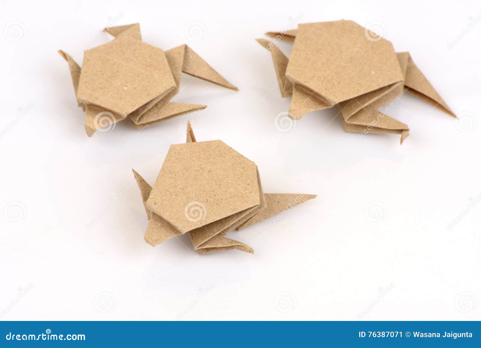 Schildkröte Mit Alter Papierfalte Stockbild Bild Von