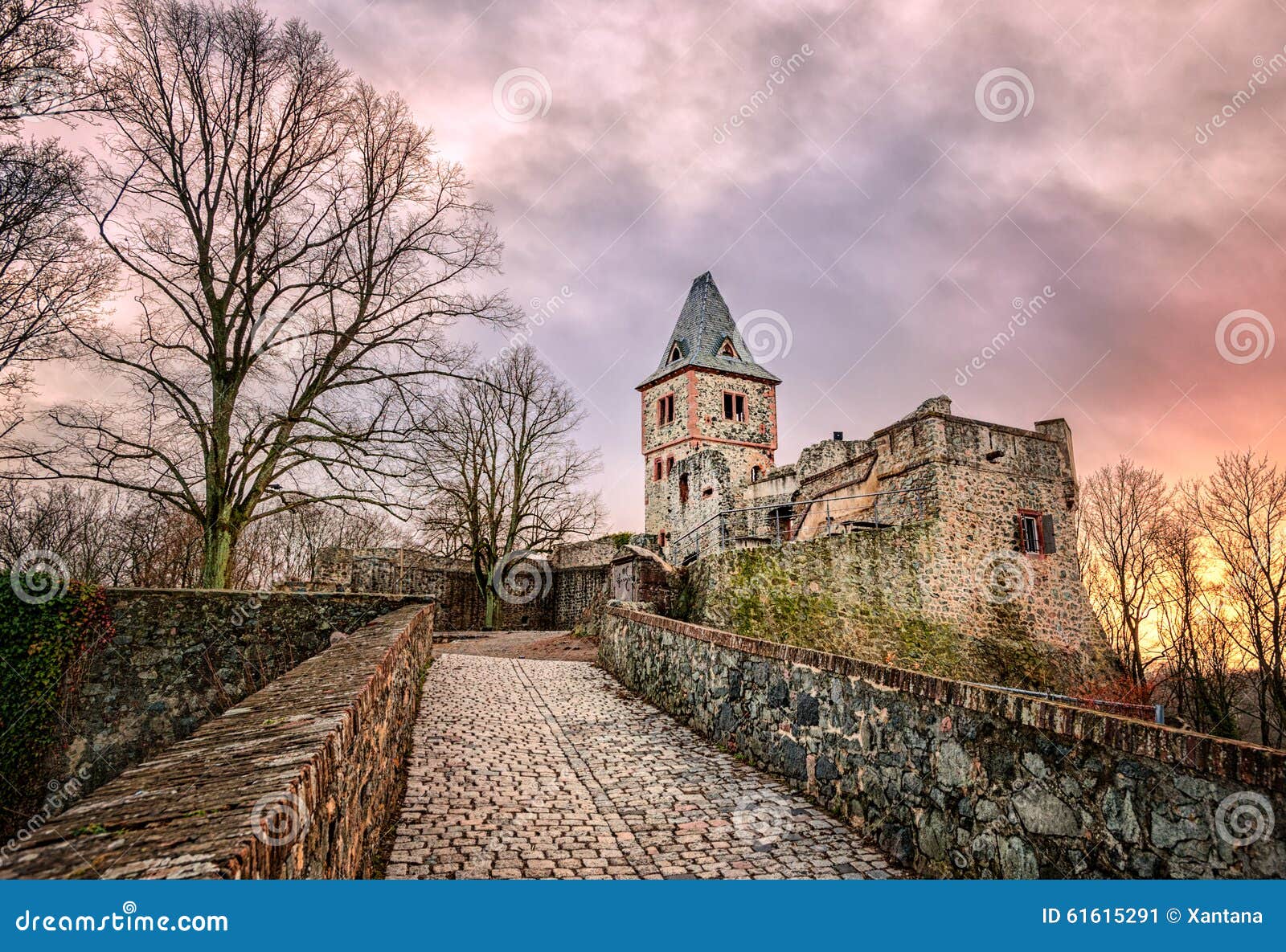 Schloss Frankenstein