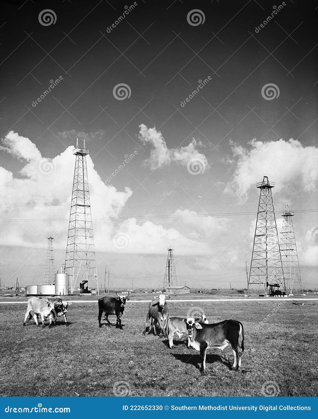 Schlumberger, Pierce Junction Picture. Image 222652330