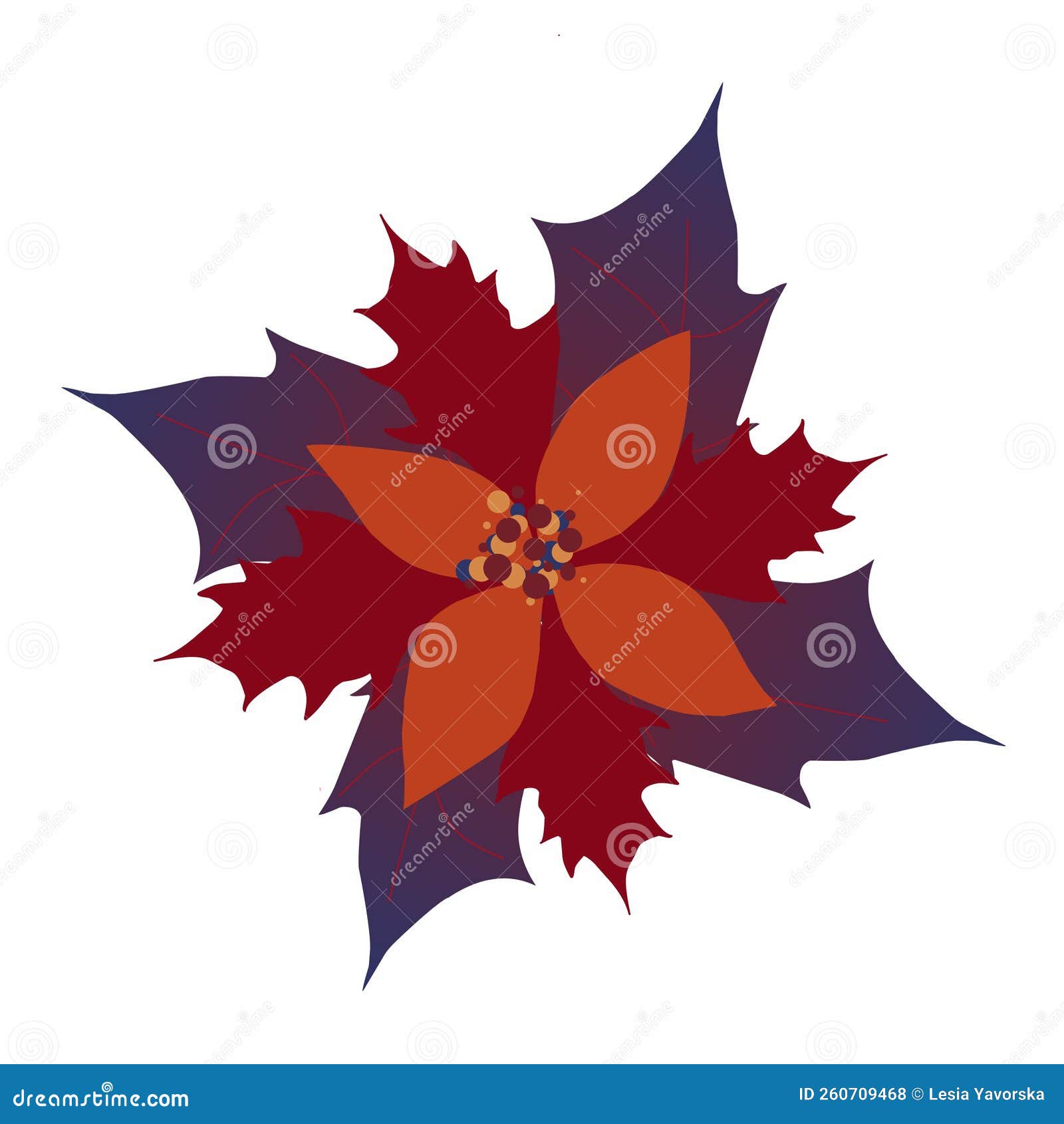 Schlumbergera Blue, Christmas Flower Stock Photo Illustration of