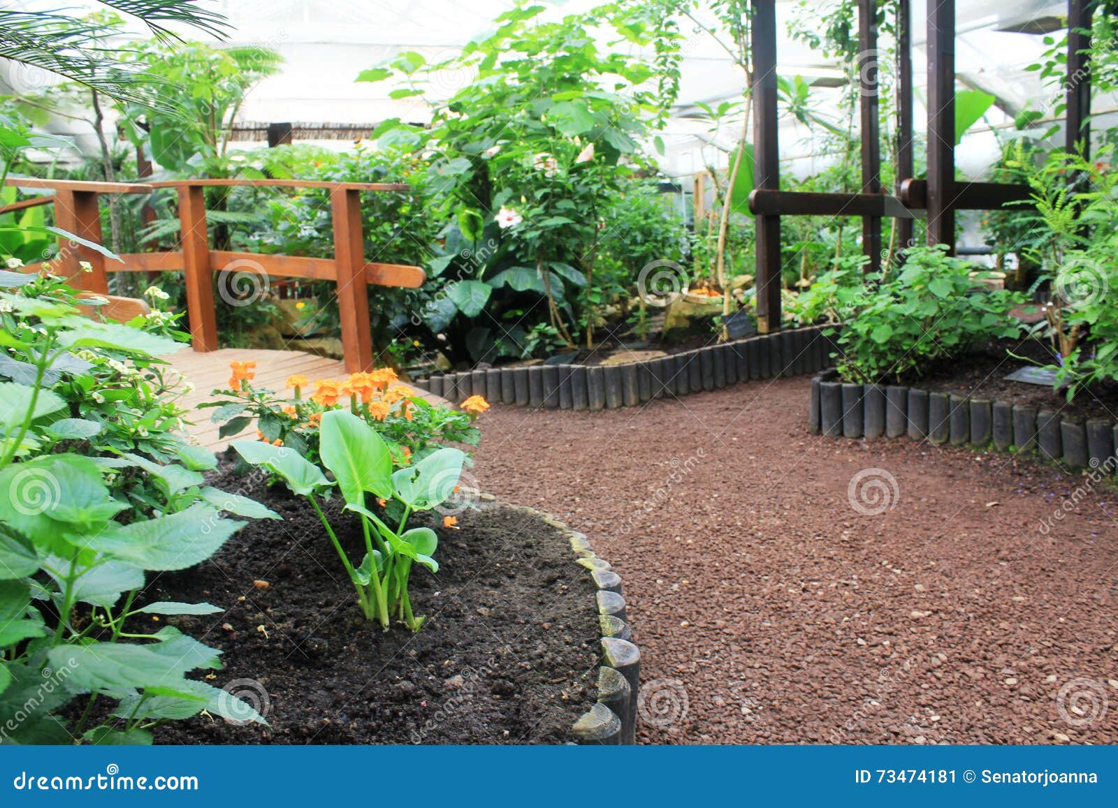 Schmetterlinge Im Garten Der Schmetterlinge Stockbild Bild von land