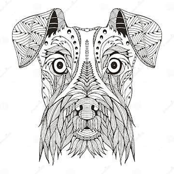 Schnauzer Dog Head Zentangle Stylized, Vector, Illustration Stock ...