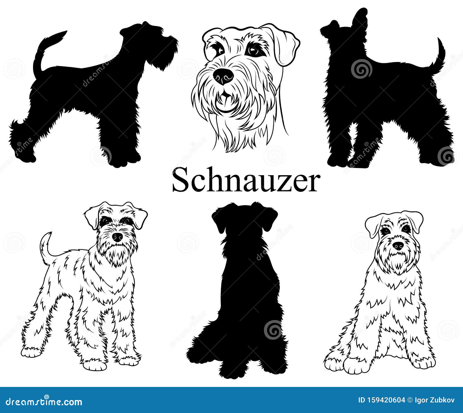 Schnauzer Set. Collection of Pedigree Dogs. Black White Illustration of a Schnauzer Dog. Vector Drawing of a Pet. Tattoo Stock Vector - Illustration of puppy, pedigreed: 159420604