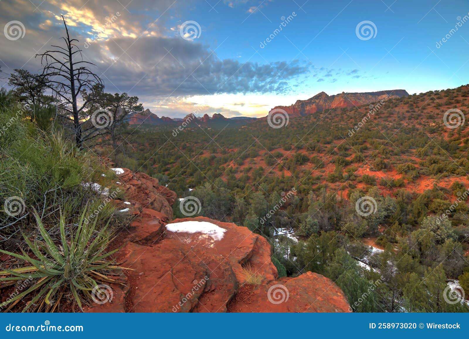 schnebly hill trailhead with its vegetation near sedona, arizona
