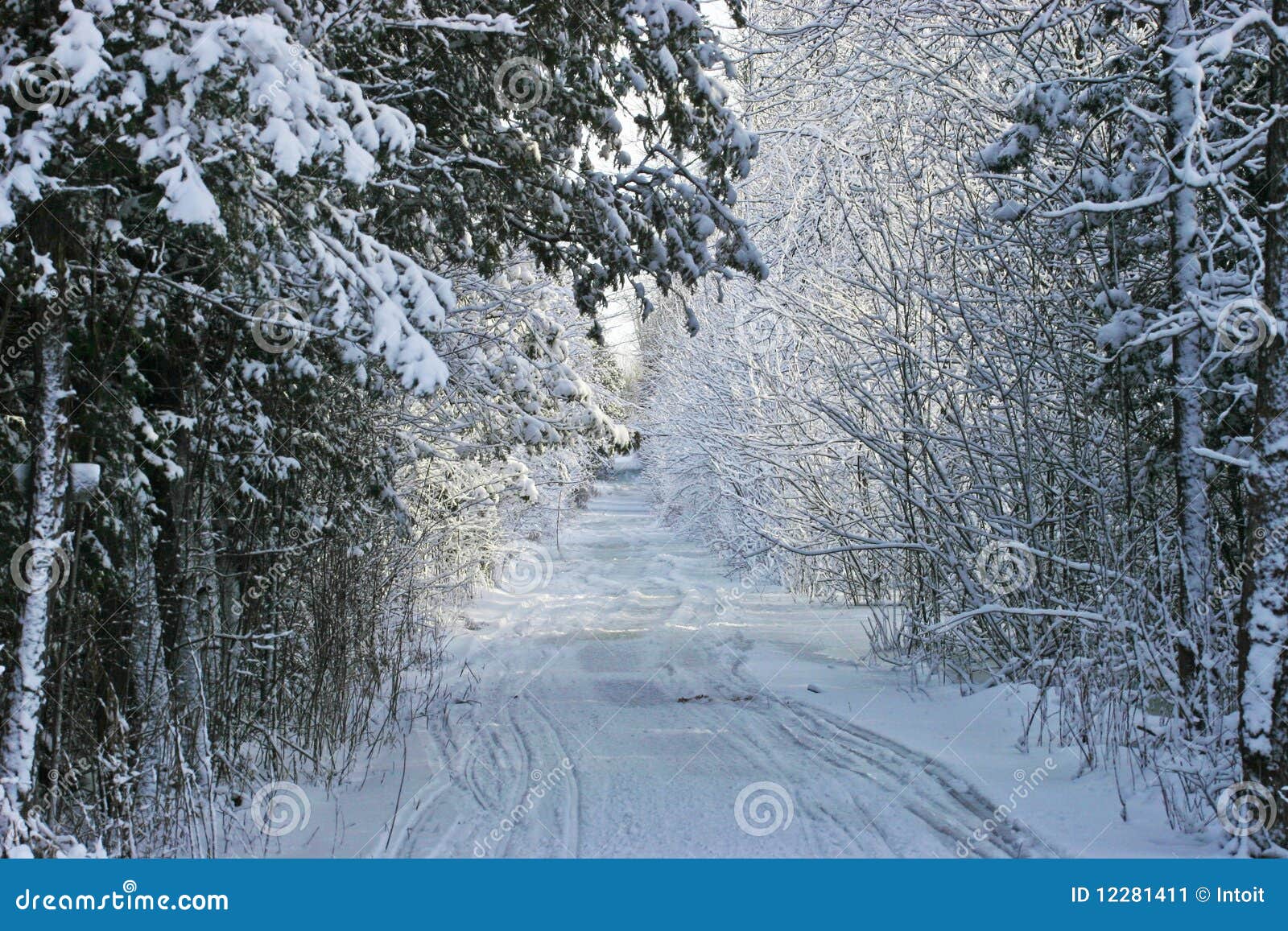 Besen Auf Dem Schnee Im Winter Stockbild - Bild von reinigung, schneefälle:  140180781