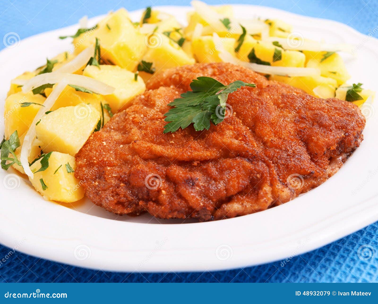Schnitzel with Potato Salad Stock Image Image of schnitzel, portion
