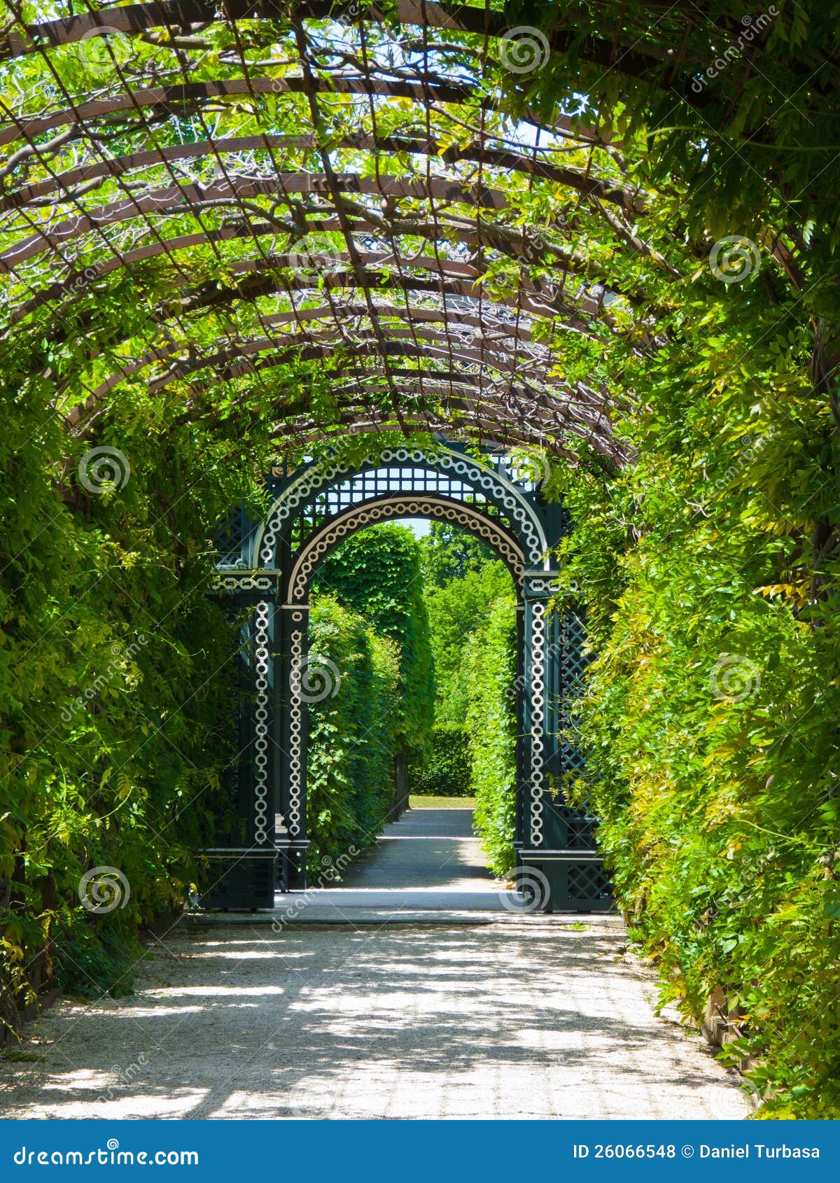 Schoenbrunn Garden stock photo. Image of alley, turism 26066548