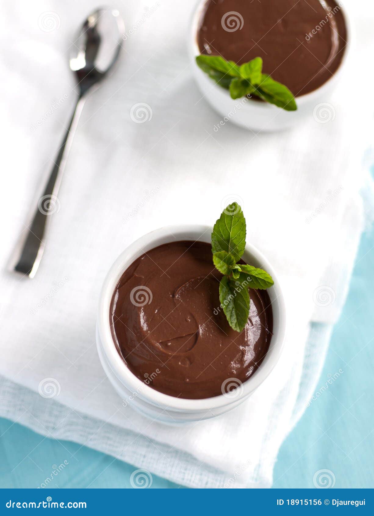 Schokoladen-Pudding Mit Minze Stockfoto - Bild von sorbet, grün: 18915156