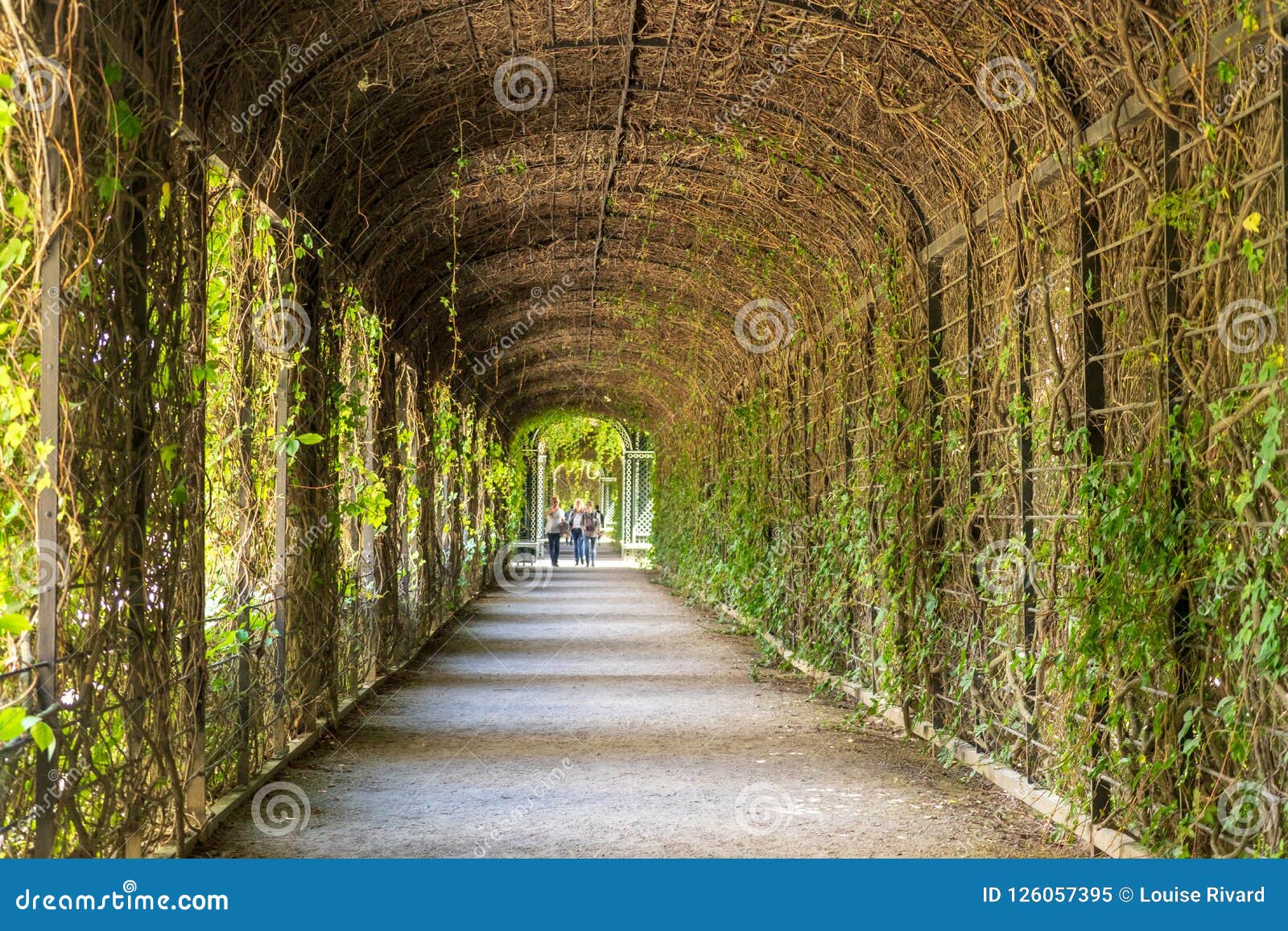 Garden Management In Schonbrunn Palace Editorial Image Image Of