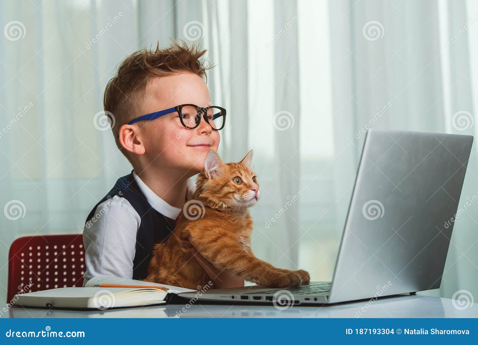 School Boy Working from Home with Funny Cat. Back To School. Child ...