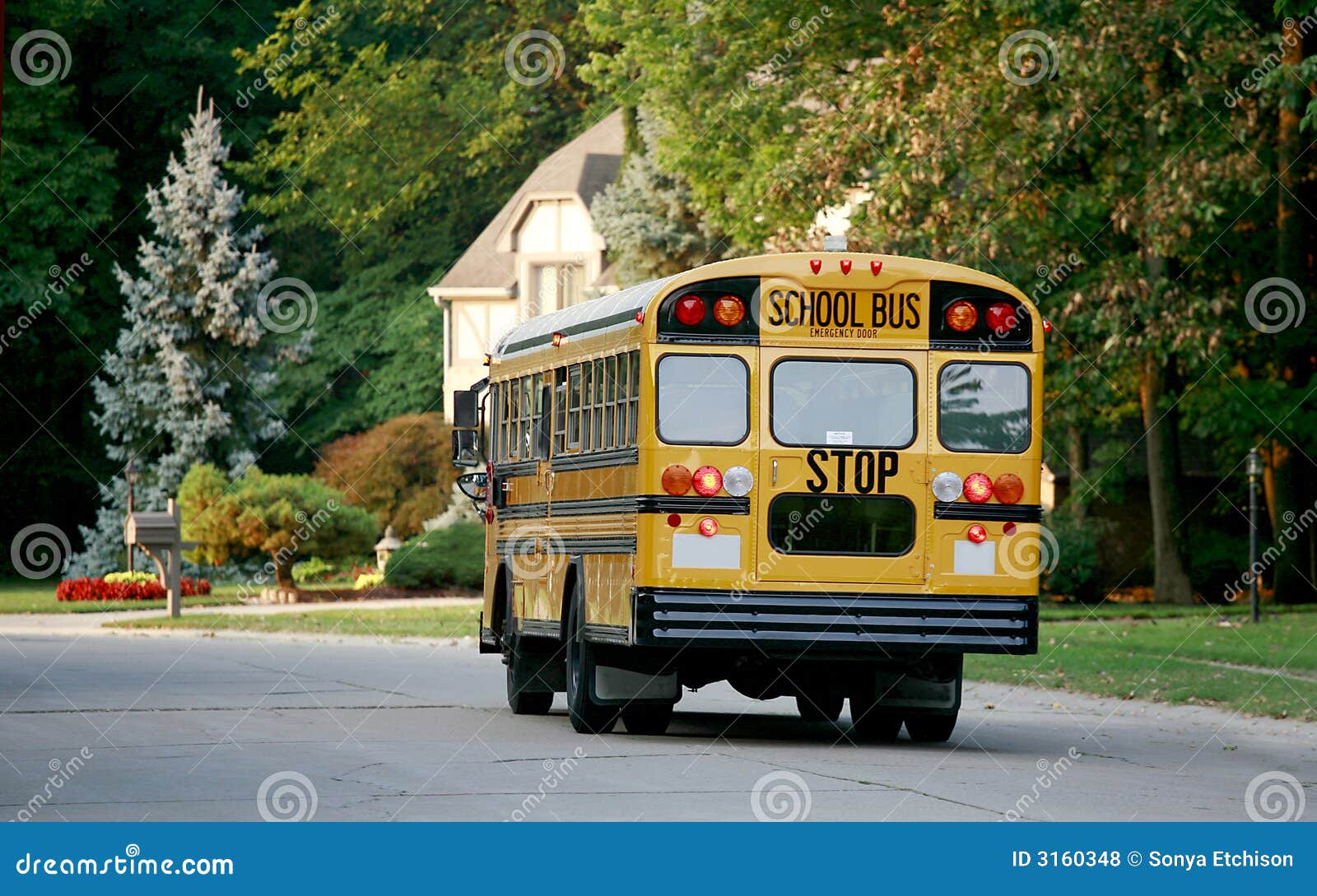 school bus in neighborhood