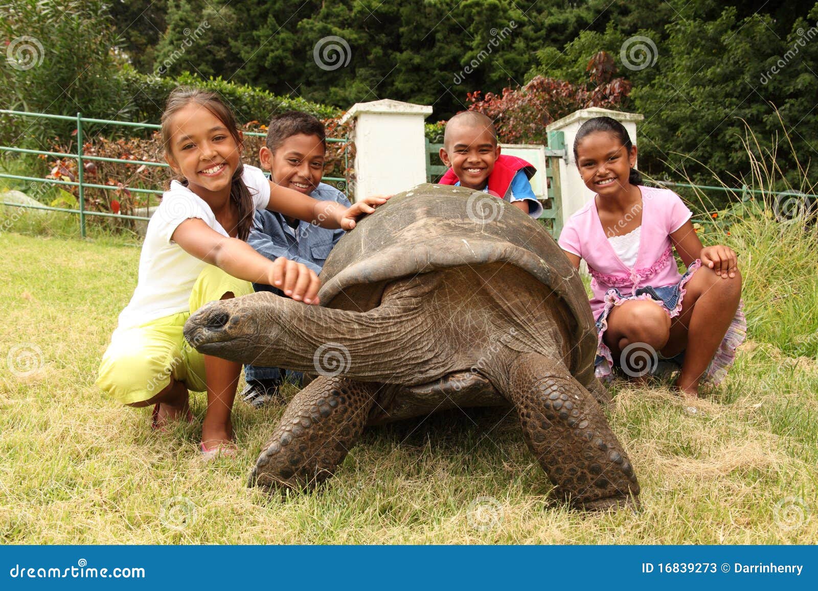 school children with giant tortoise on st helena