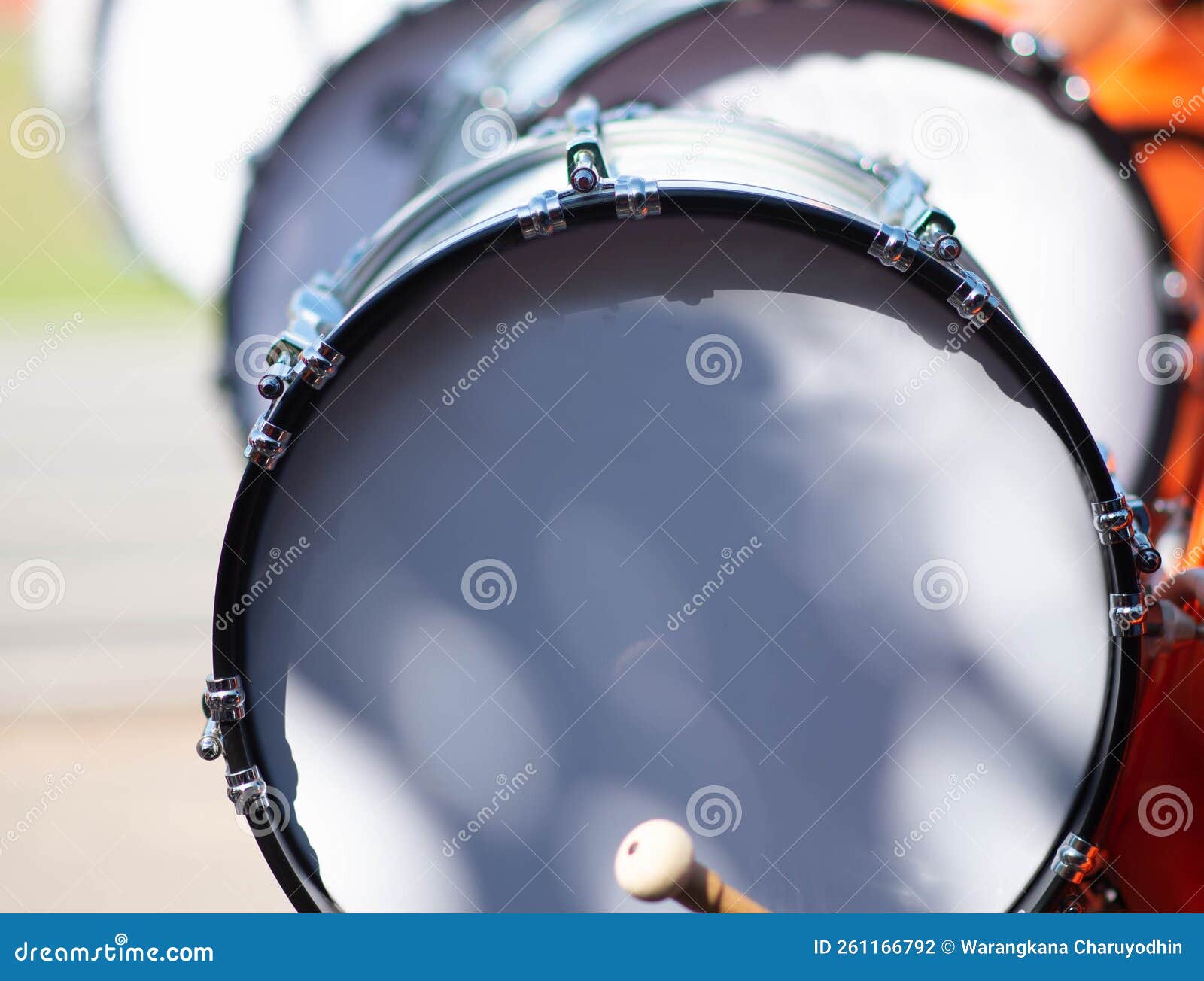 School Marching Band Sport Day Parade Stock Photo Image of musicians
