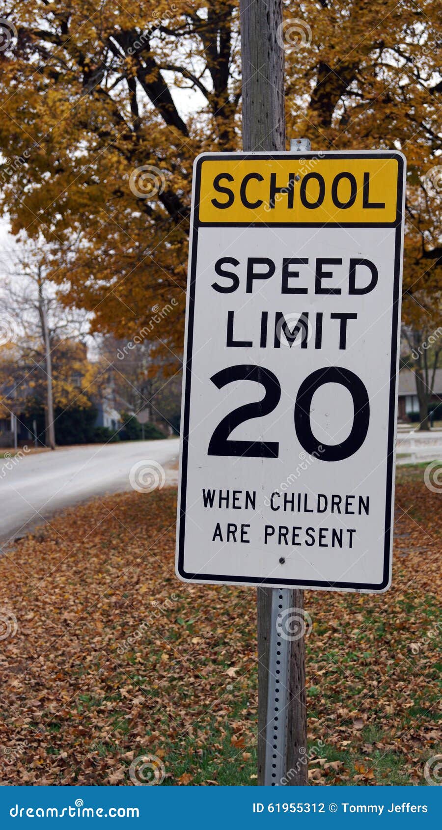 school zone sign in fall