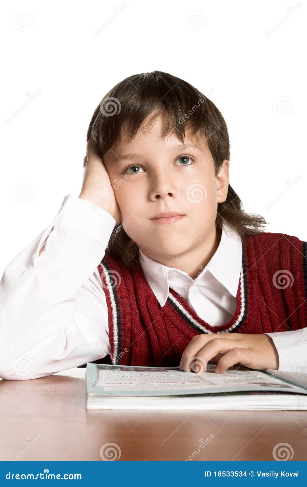 Schoolboy stock photo. Image of face, people, child, person - 18533534