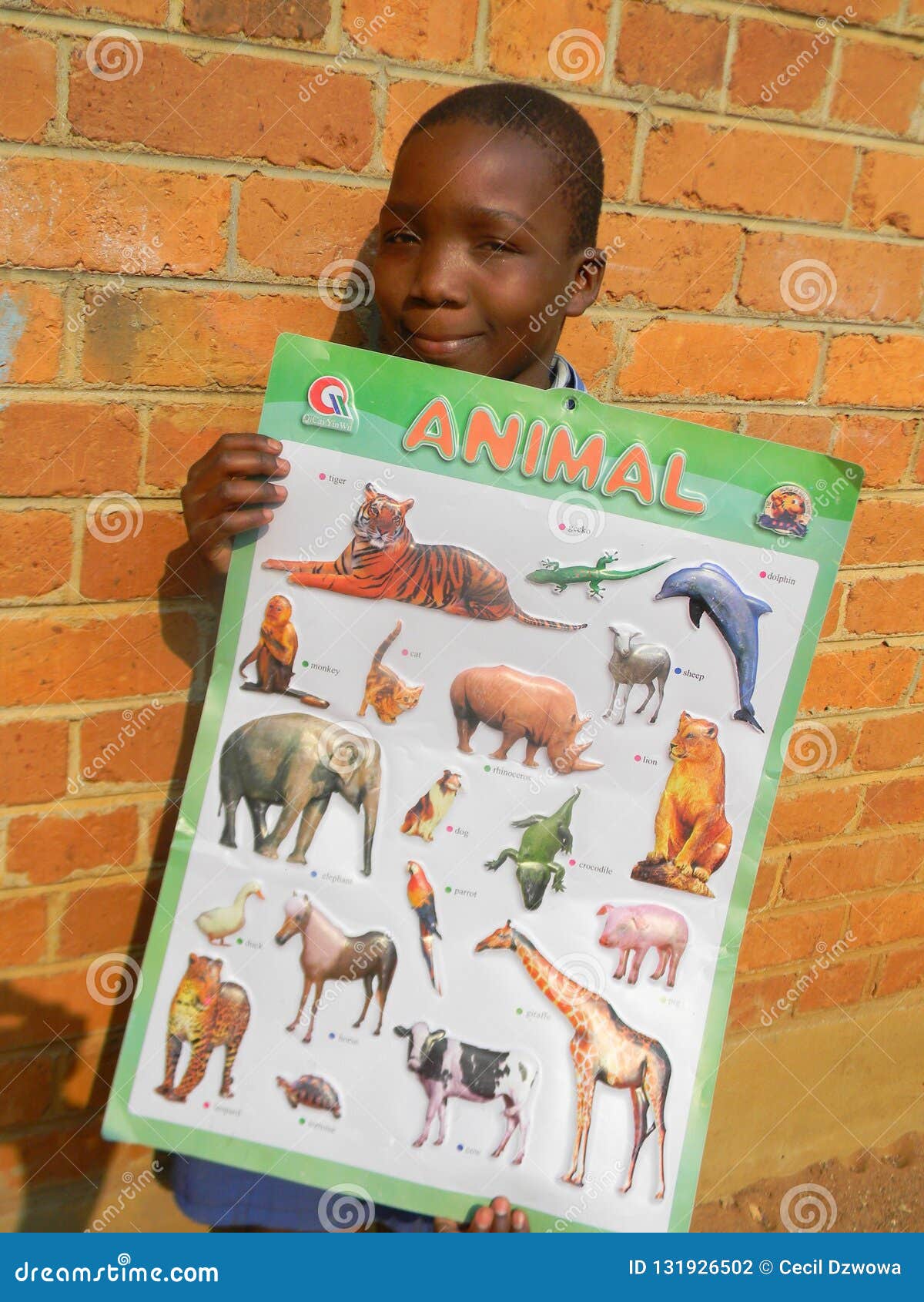 Schoolgirl with Chart Showing Animals Editorial Photography - Image of  schoolgirl, student: 131926502