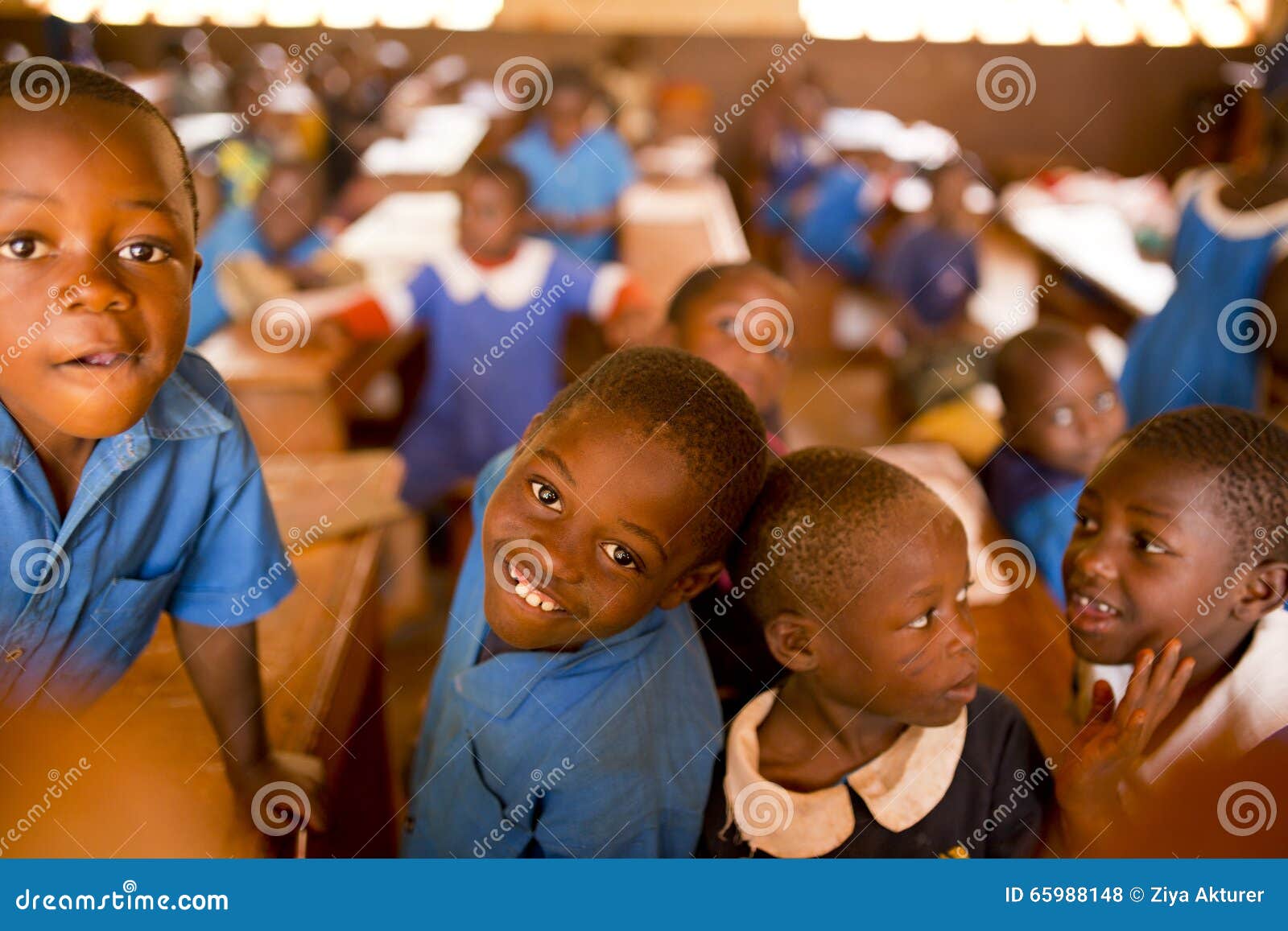 Schooljonge geitjes van Kameroen. Een lage school van Kameroen