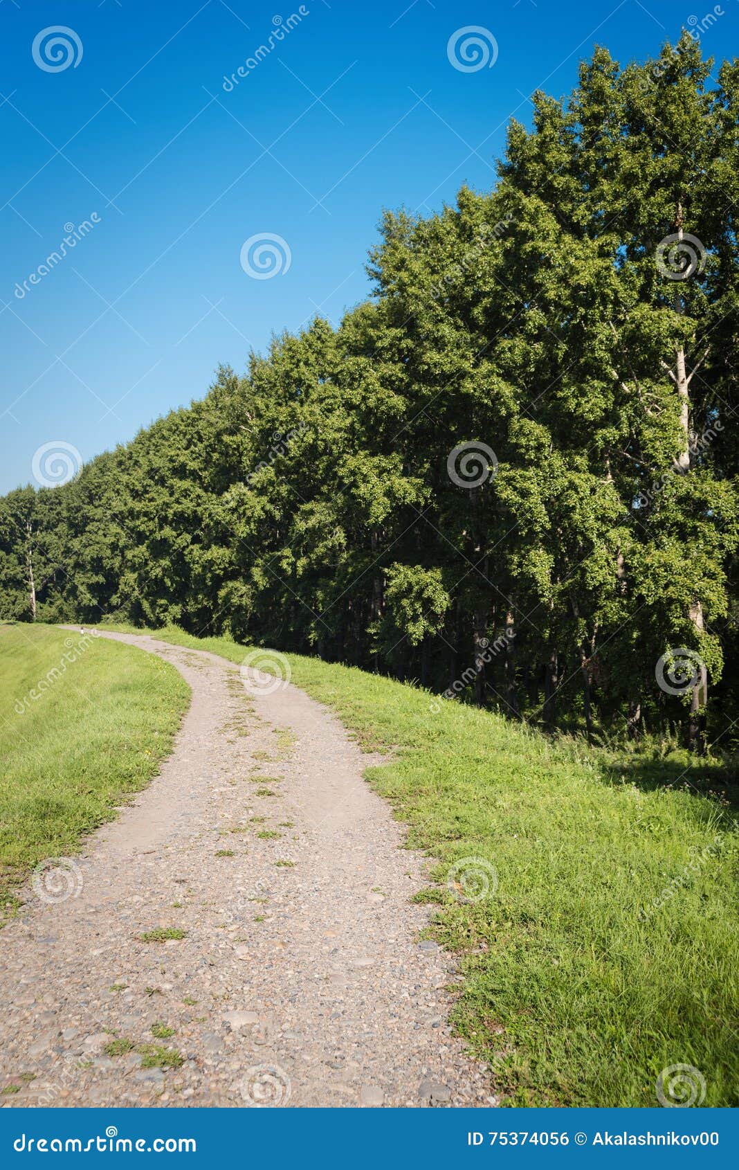 Schotterweg und Wald. Russische ländliche Landschaft mit nasser Straße des leeren Landschaftsschmutzes