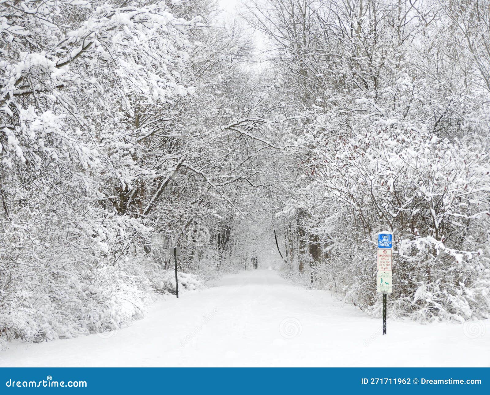 Schug Trail by Dryden Lake Repurposed Railroad Bed in Winter Snow Stock