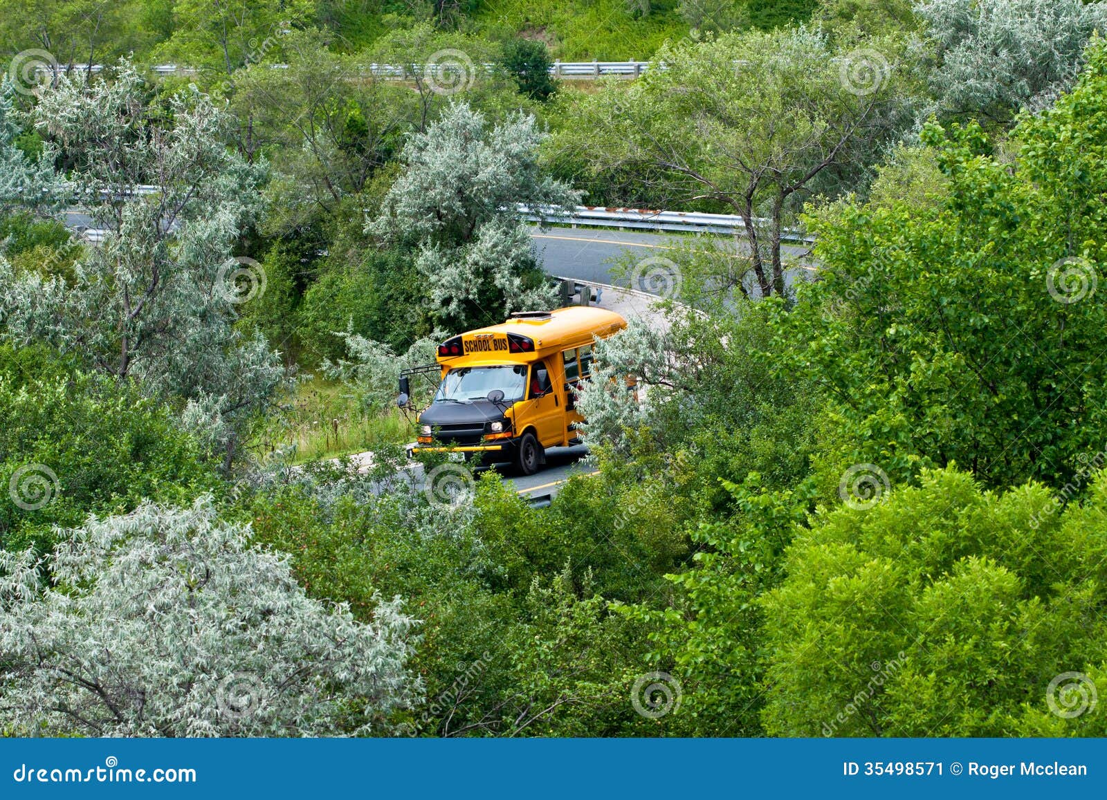 Schulbus im Grün. Schulbus auf einer Landstraßenausrampe in der Sommerzeit
